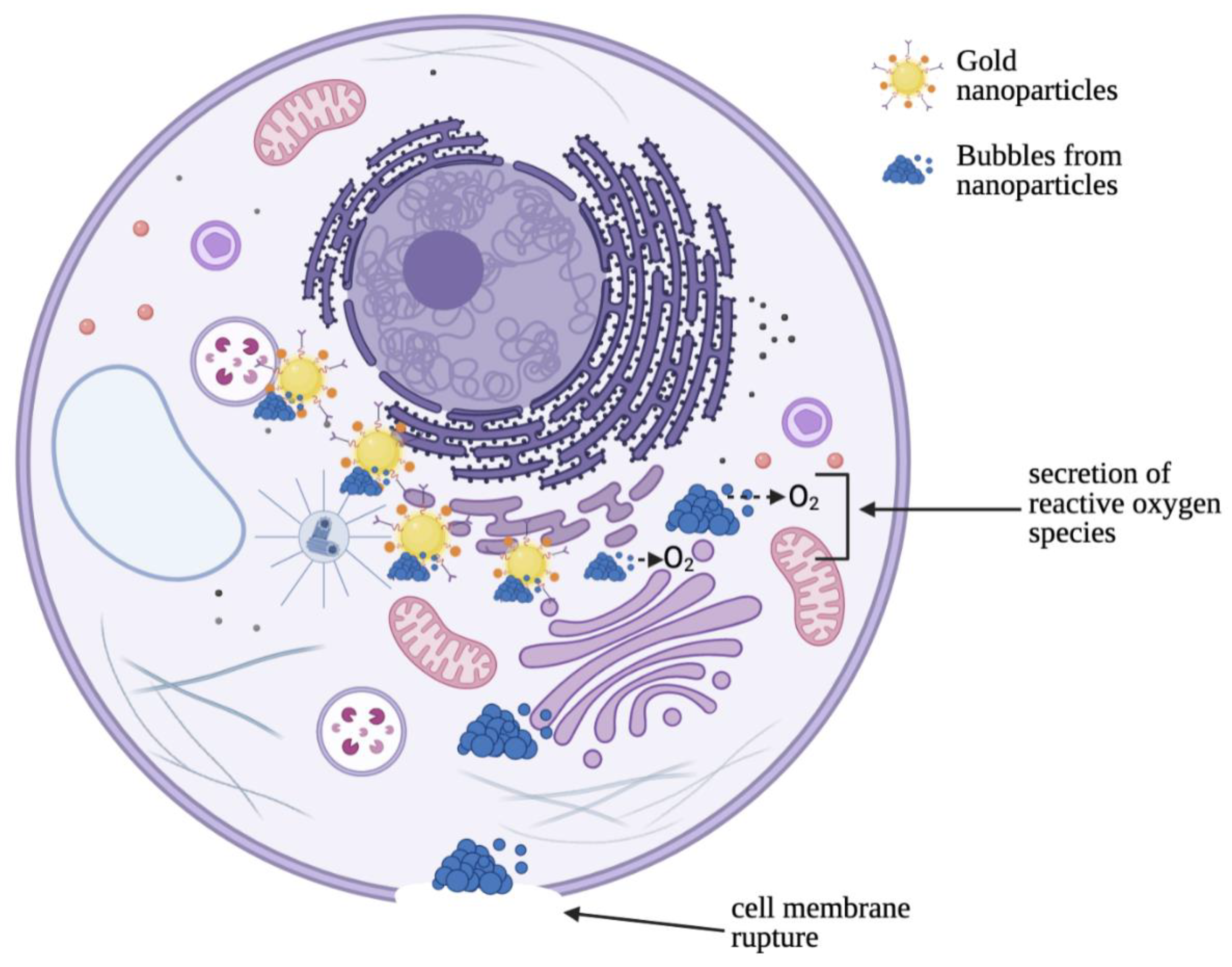 Chemengineering 05 00069 g007