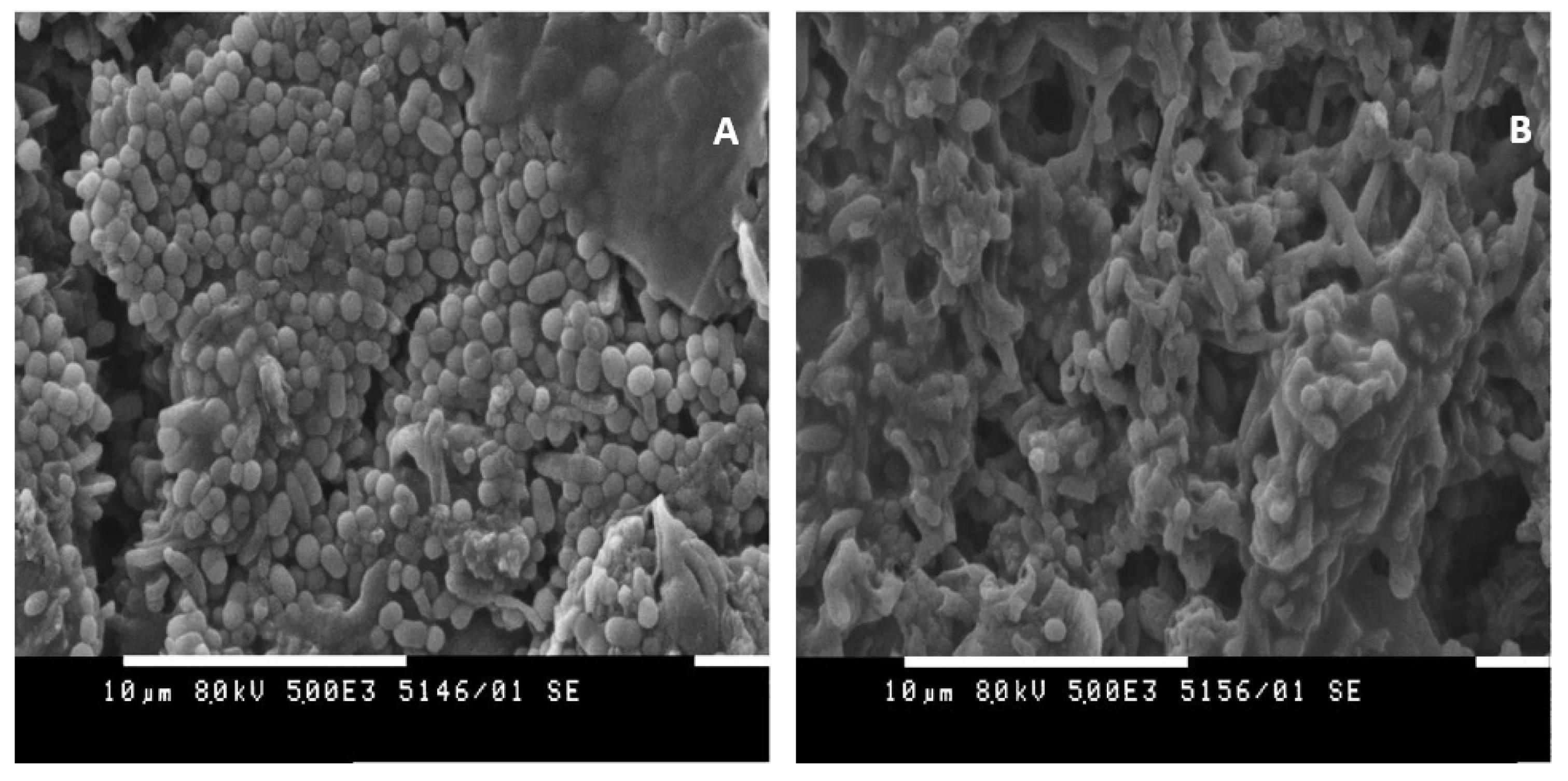 Chemengineering 05 00075 g003