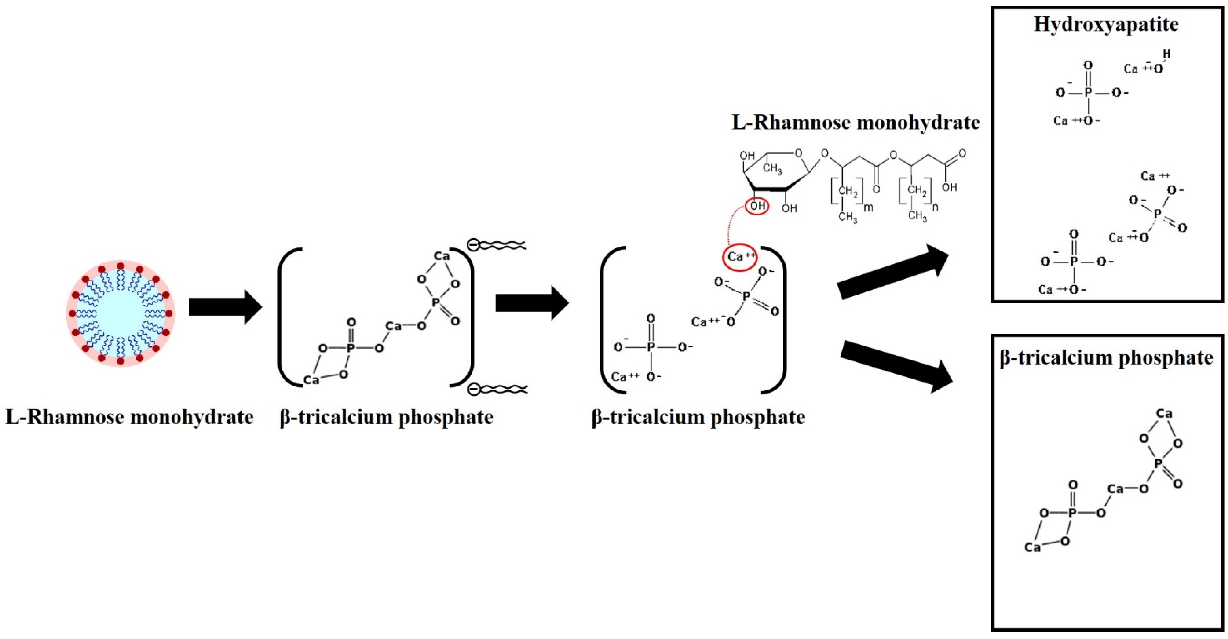 Chemengineering 05 00088 g001 550