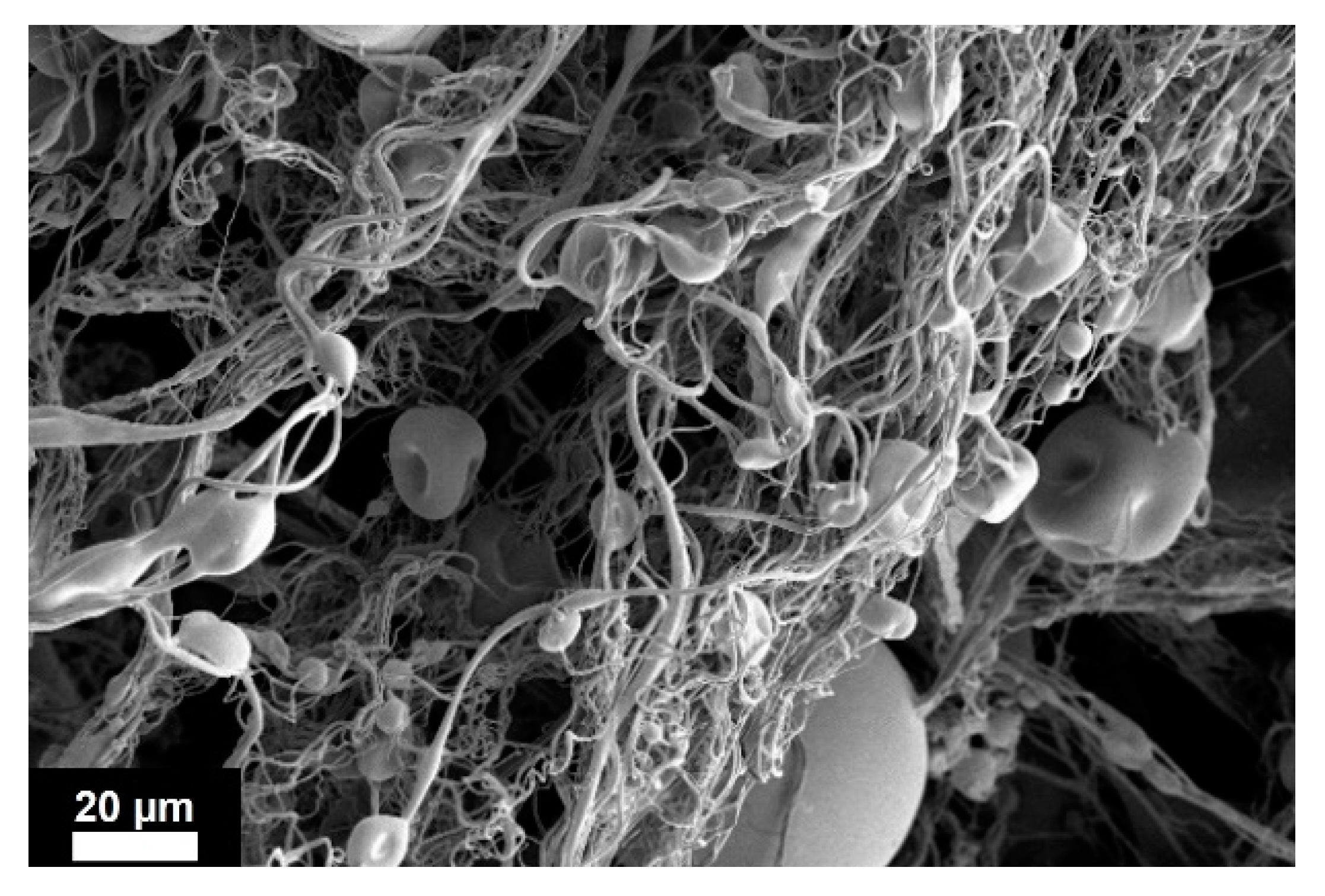 Chemengineering 06 00066 g005