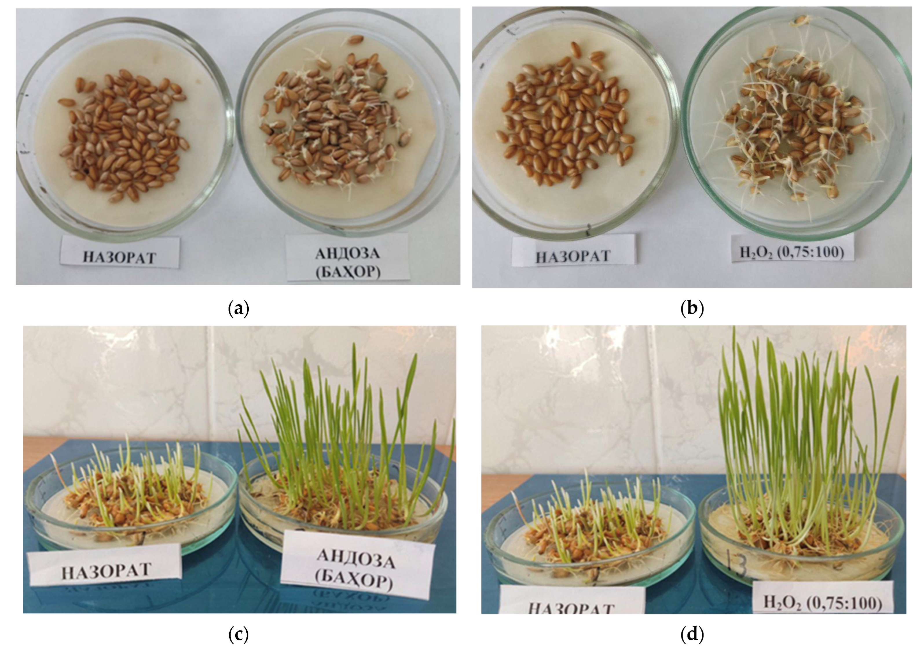 Chemengineering 06 00091 g003