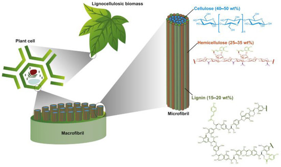 Overview on Photoreforming of Biomass Aqueous Solutions to