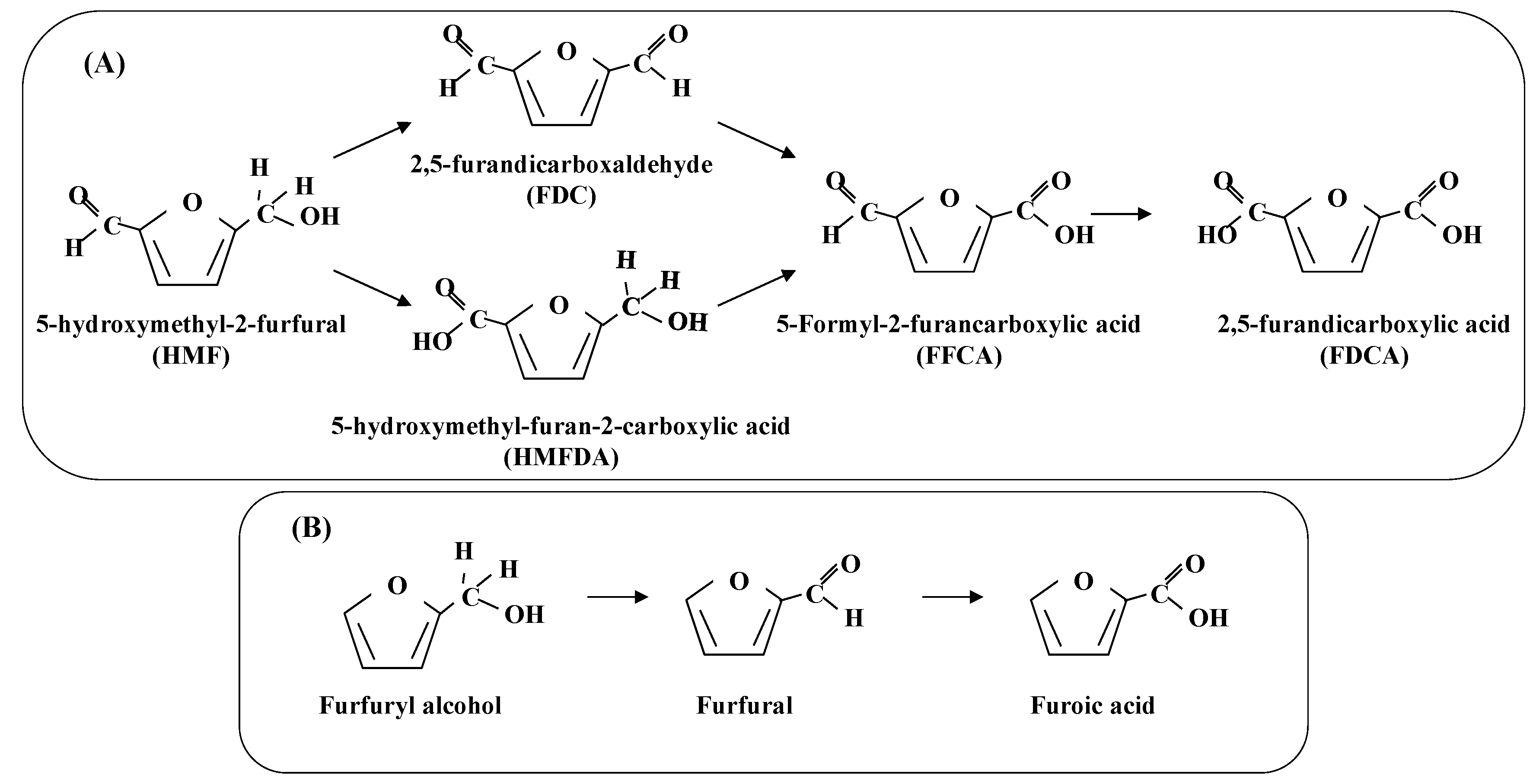 Chemengineering 07 00011 sch002