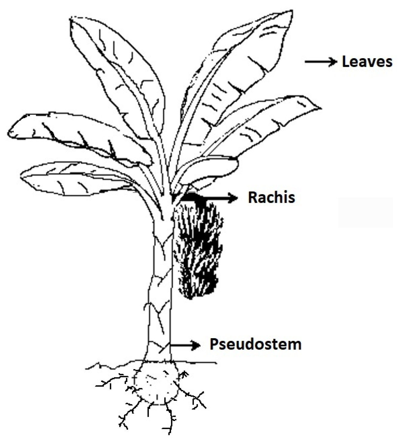 Chemengineering 07 00039 g001