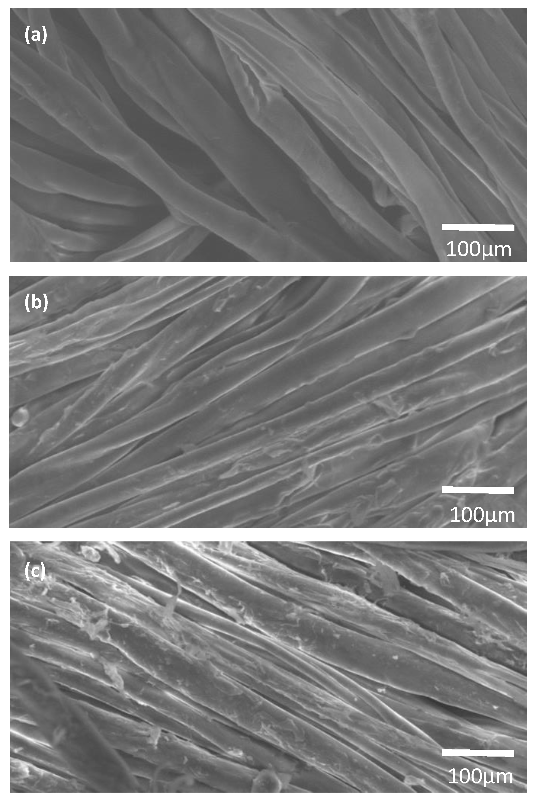 Chemengineering 07 00047 g008
