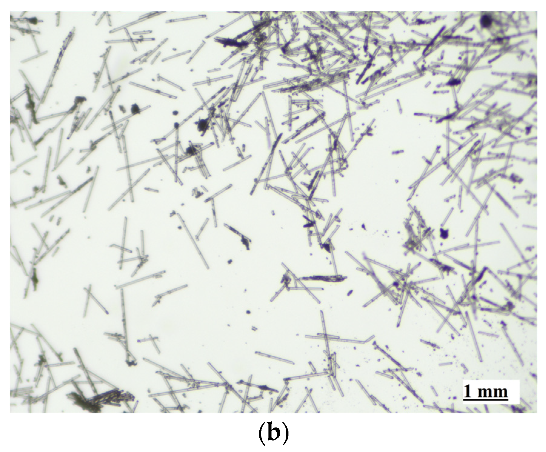 Chemengineering 07 00051 g004b Chemengineering 07 00051 g004b