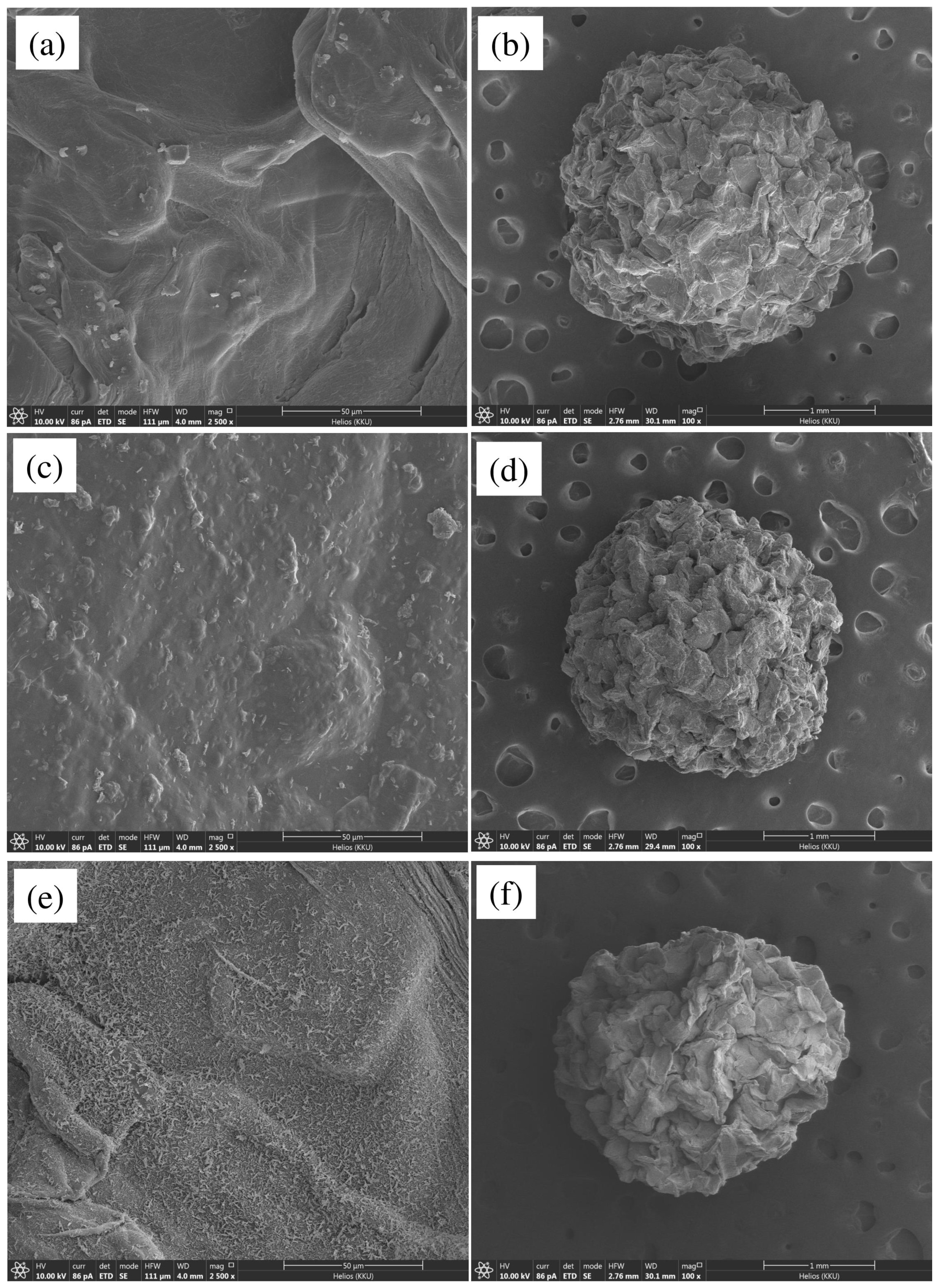Chemengineering 07 00052 g005