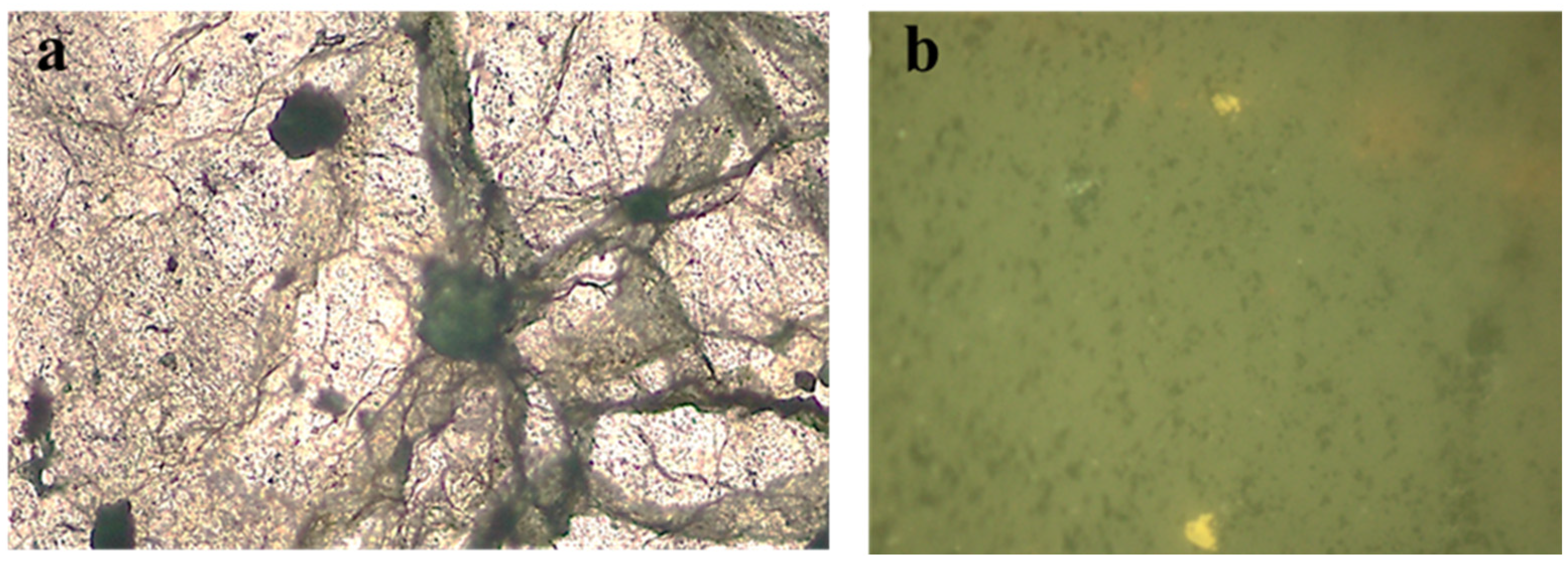 Chemengineering 07 00054 g006