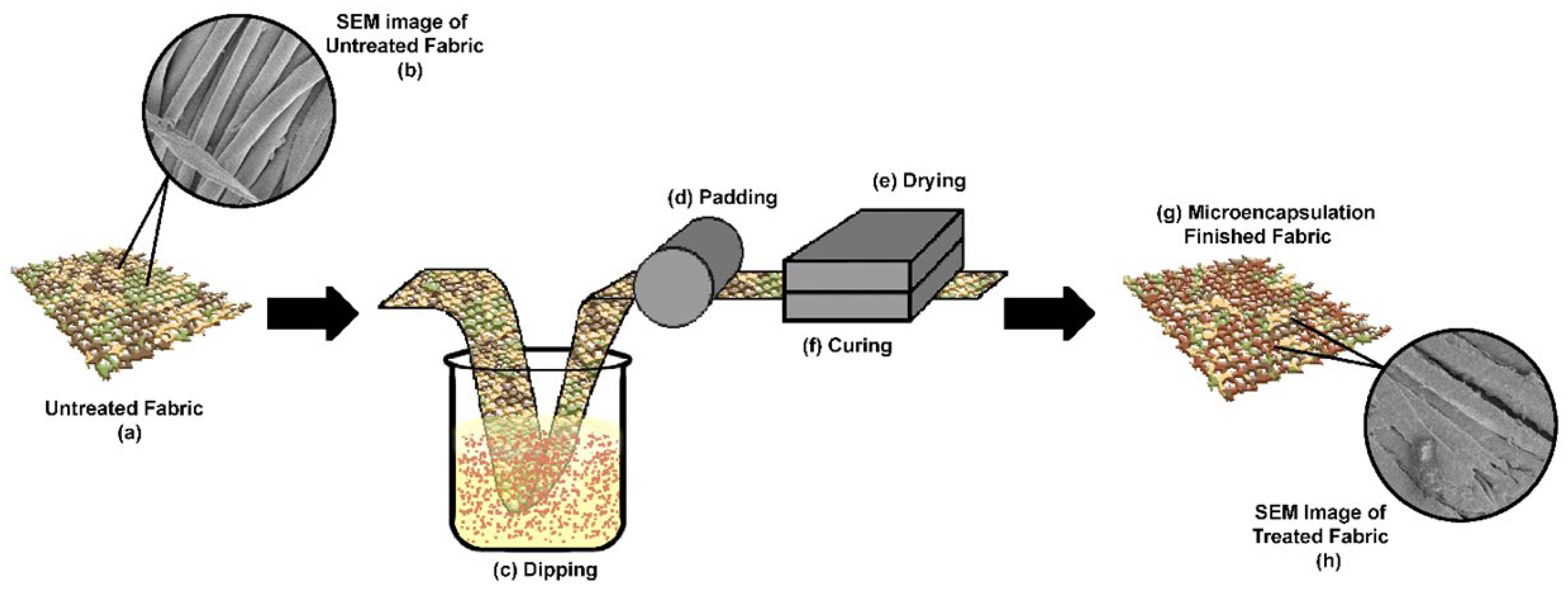 Chemengineering 07 00064 g002 Chemengineering 07 00064 g002