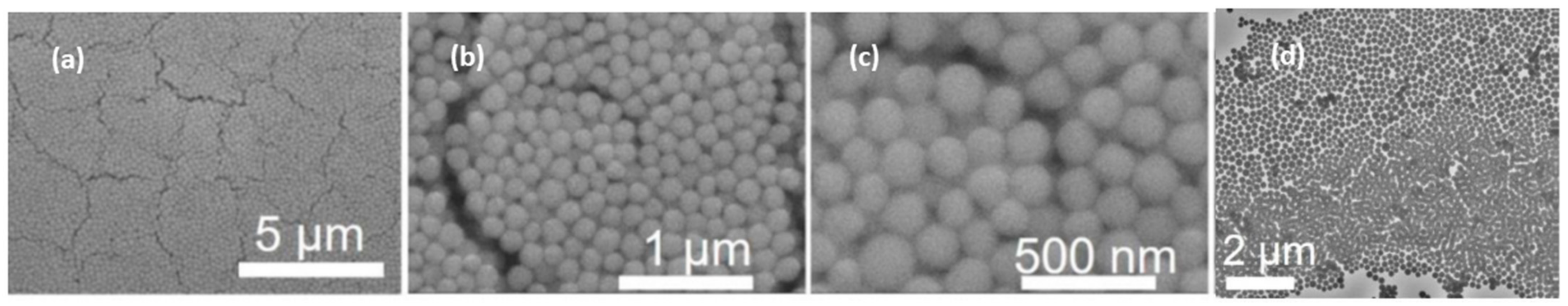 Chemengineering 07 00066 g010