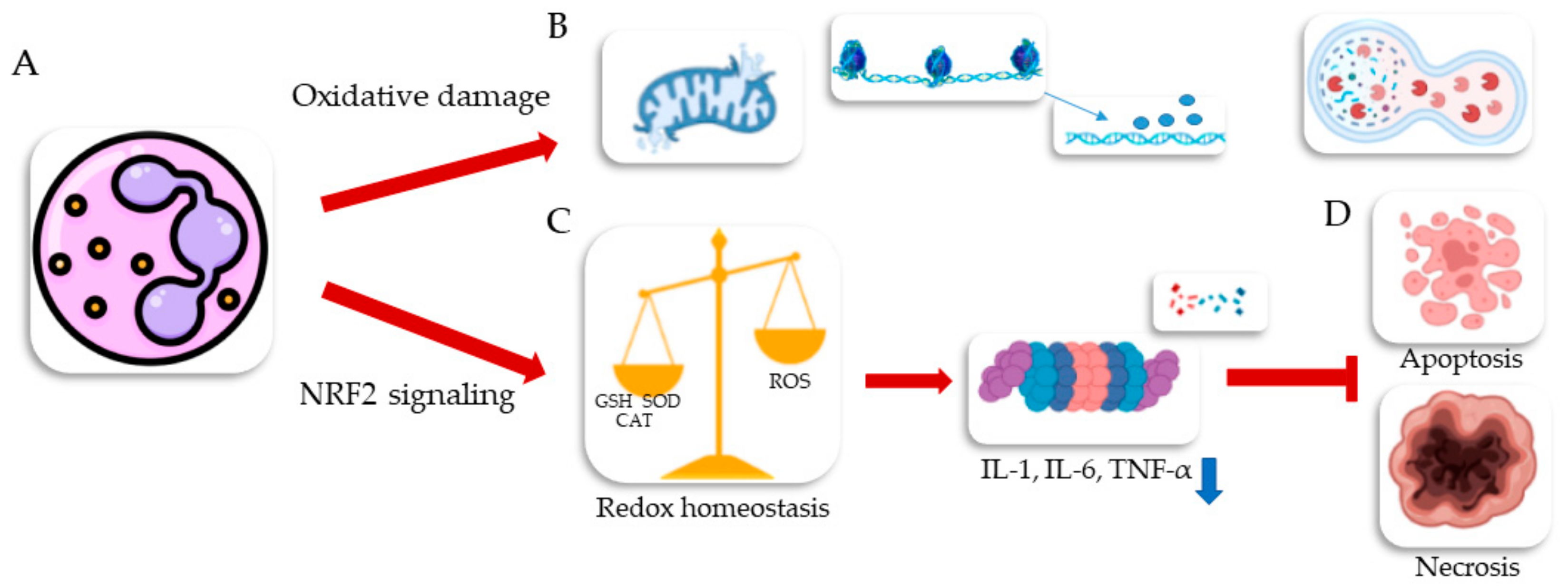 Chemengineering 07 00066 g019