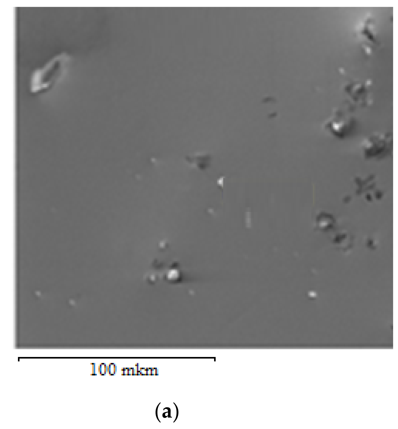 Chemengineering 07 00095 g002a