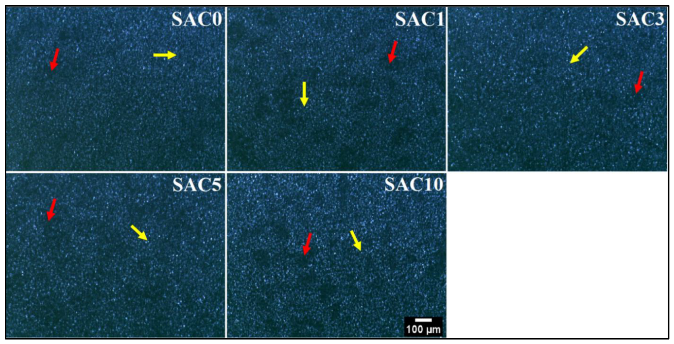 Chemengineering 07 00096 g004