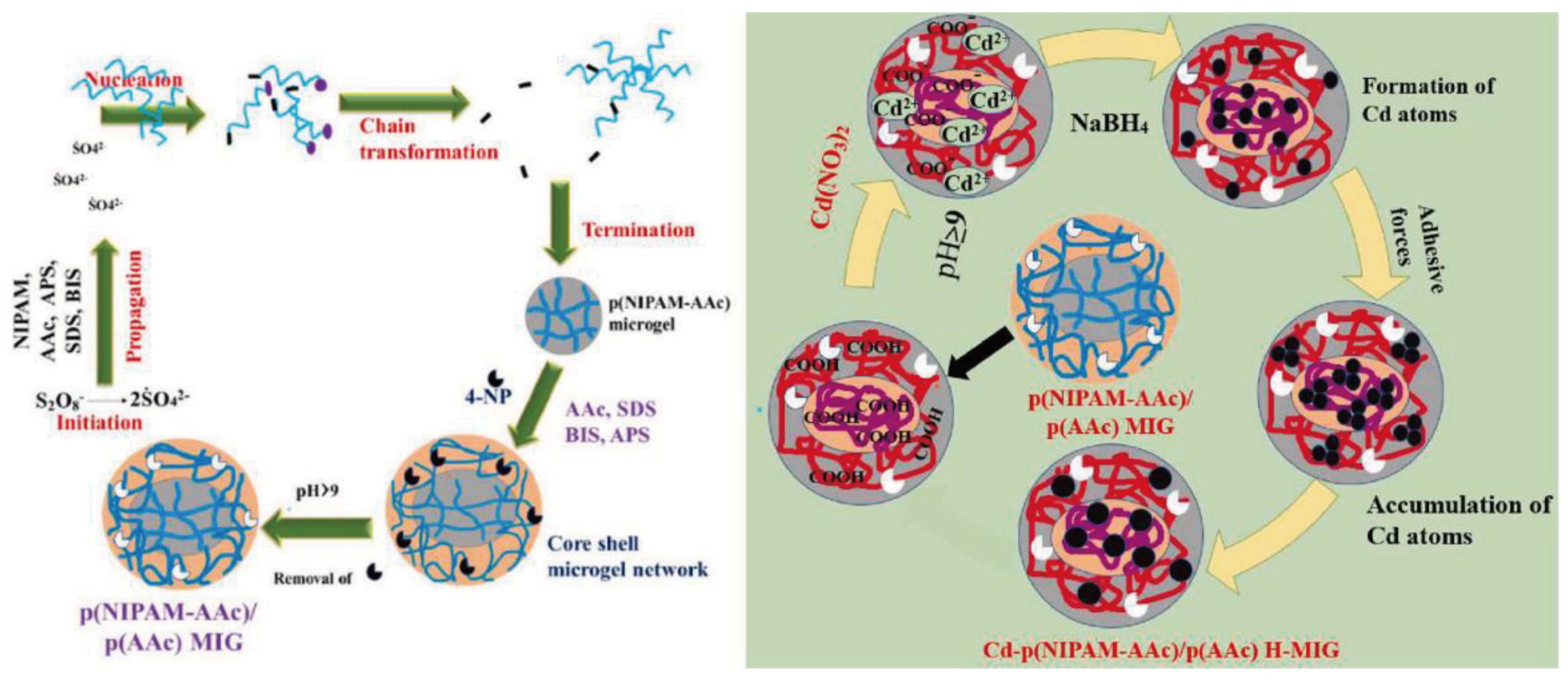 Chemengineering 07 00105 g012