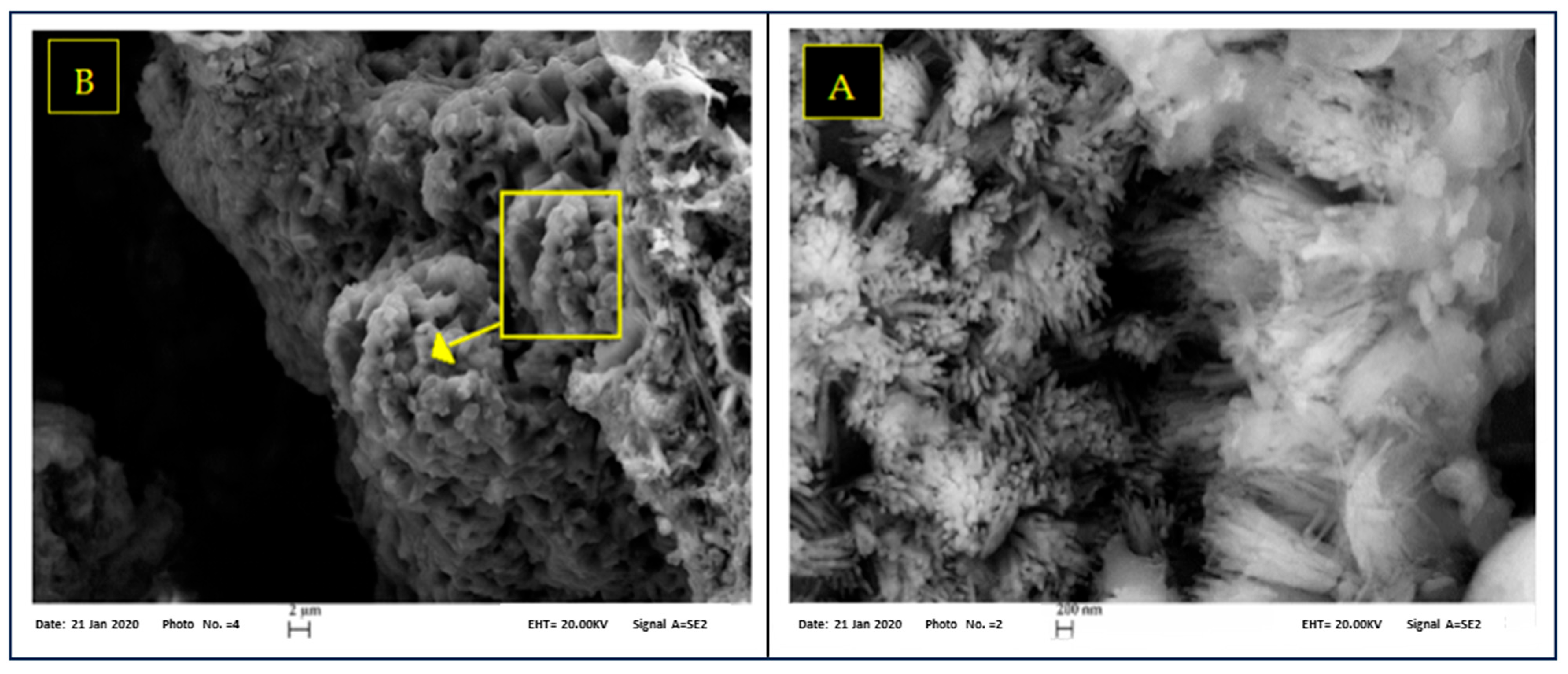 Chemengineering 07 00109 g007