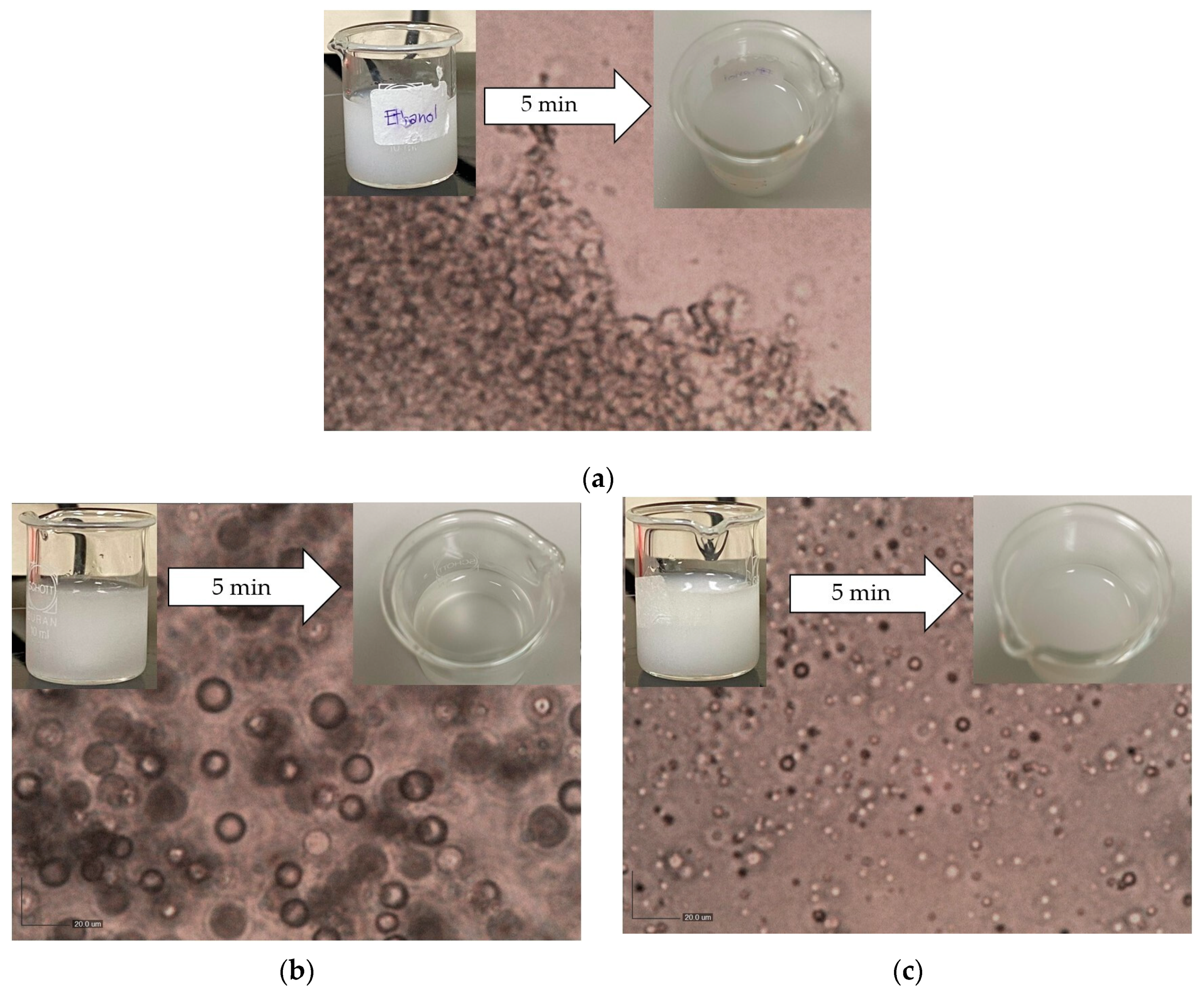 Chemengineering 08 00004 g003
