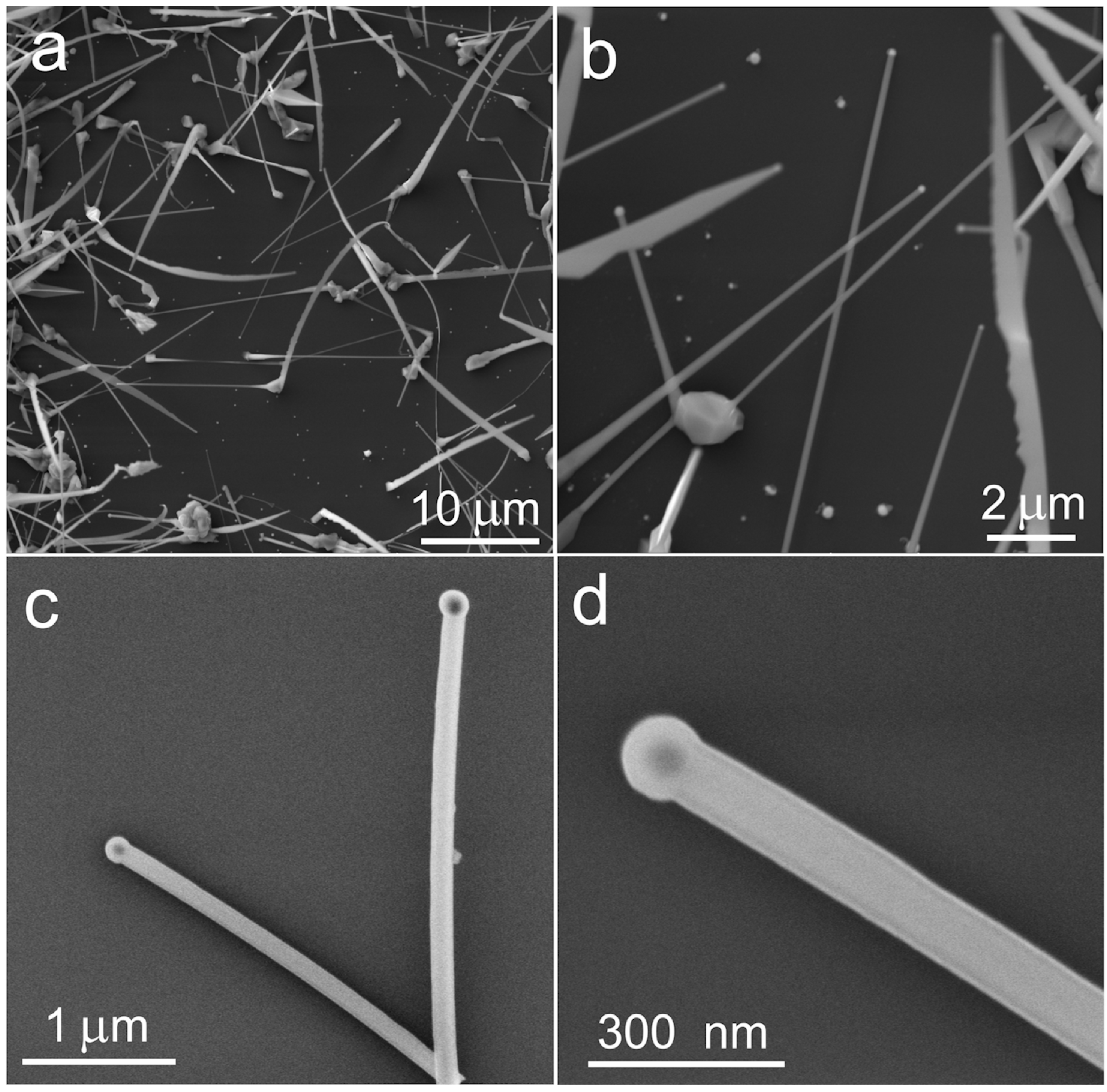 Chemengineering 08 00025 g004