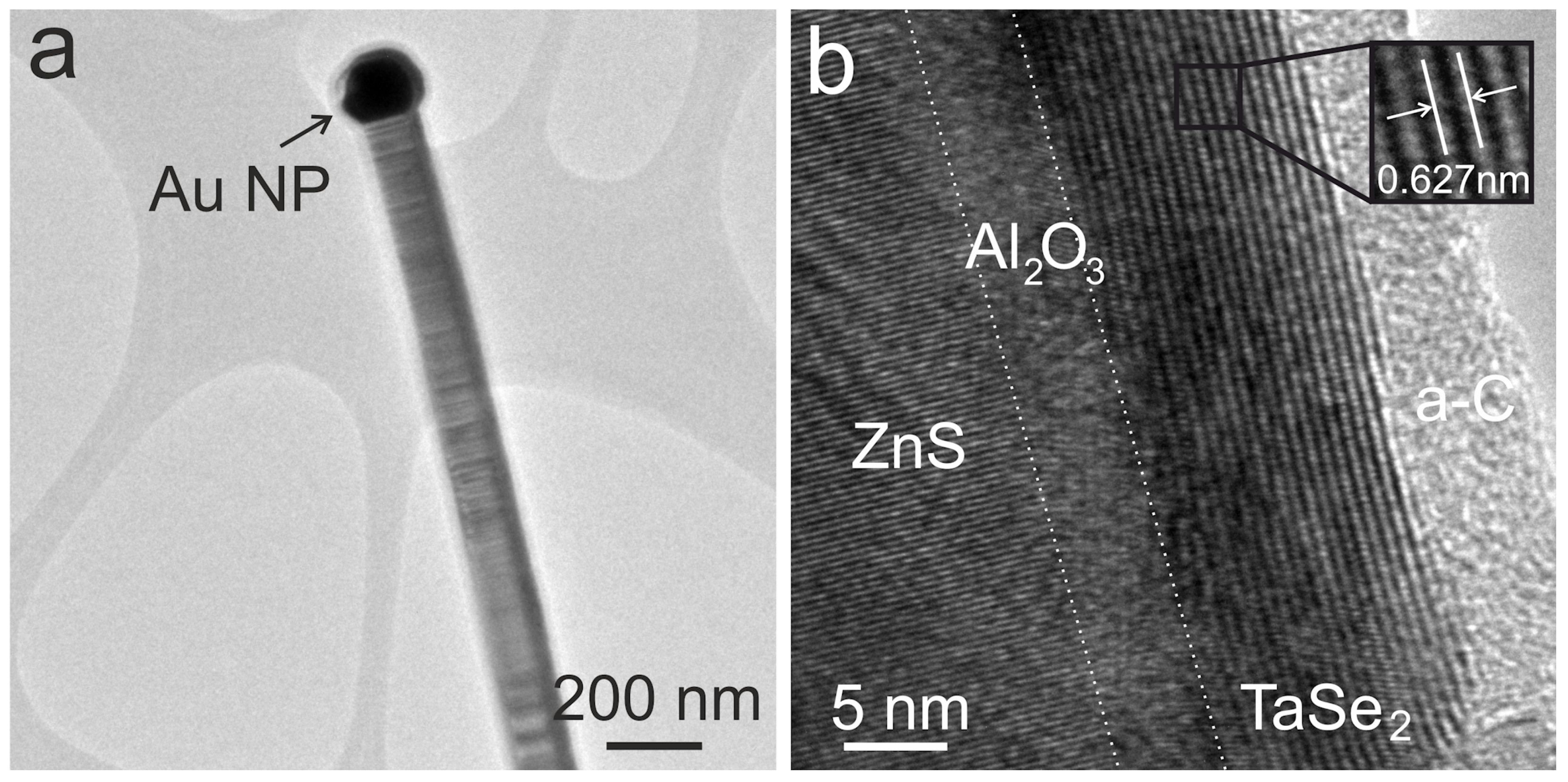 Chemengineering 08 00025 g005