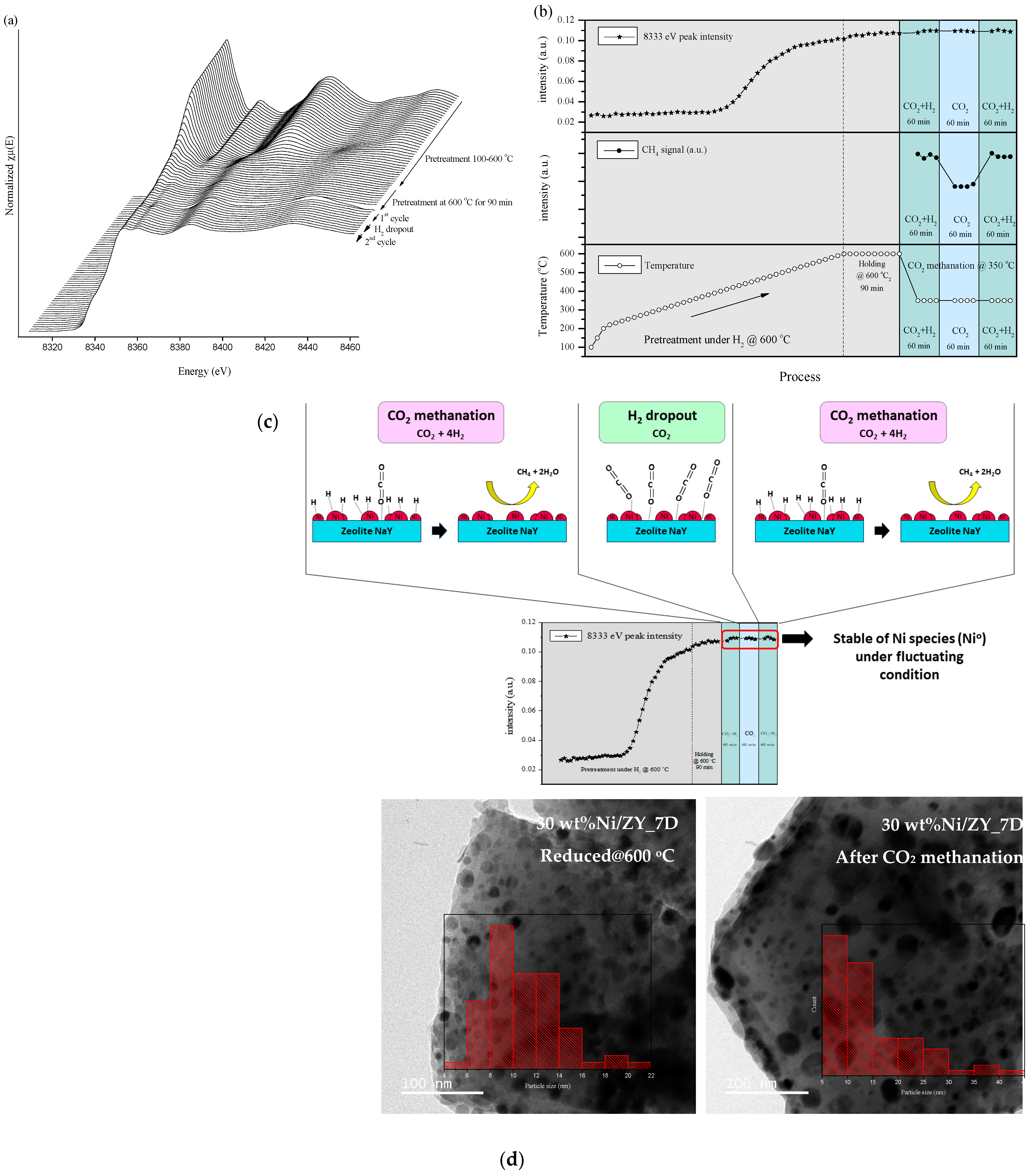 Chemengineering 08 00028 g008