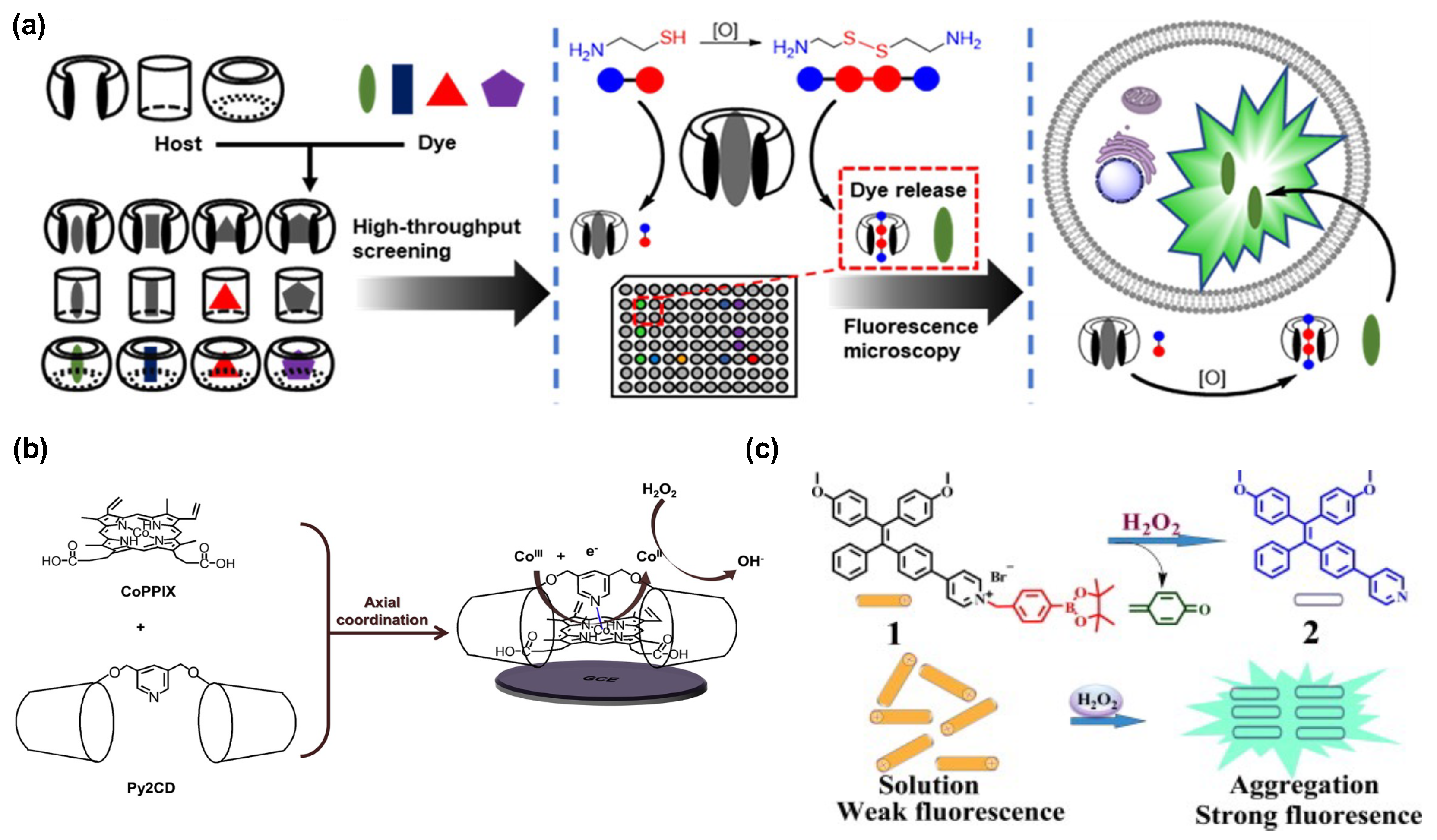 Chemengineering 08 00066 g003