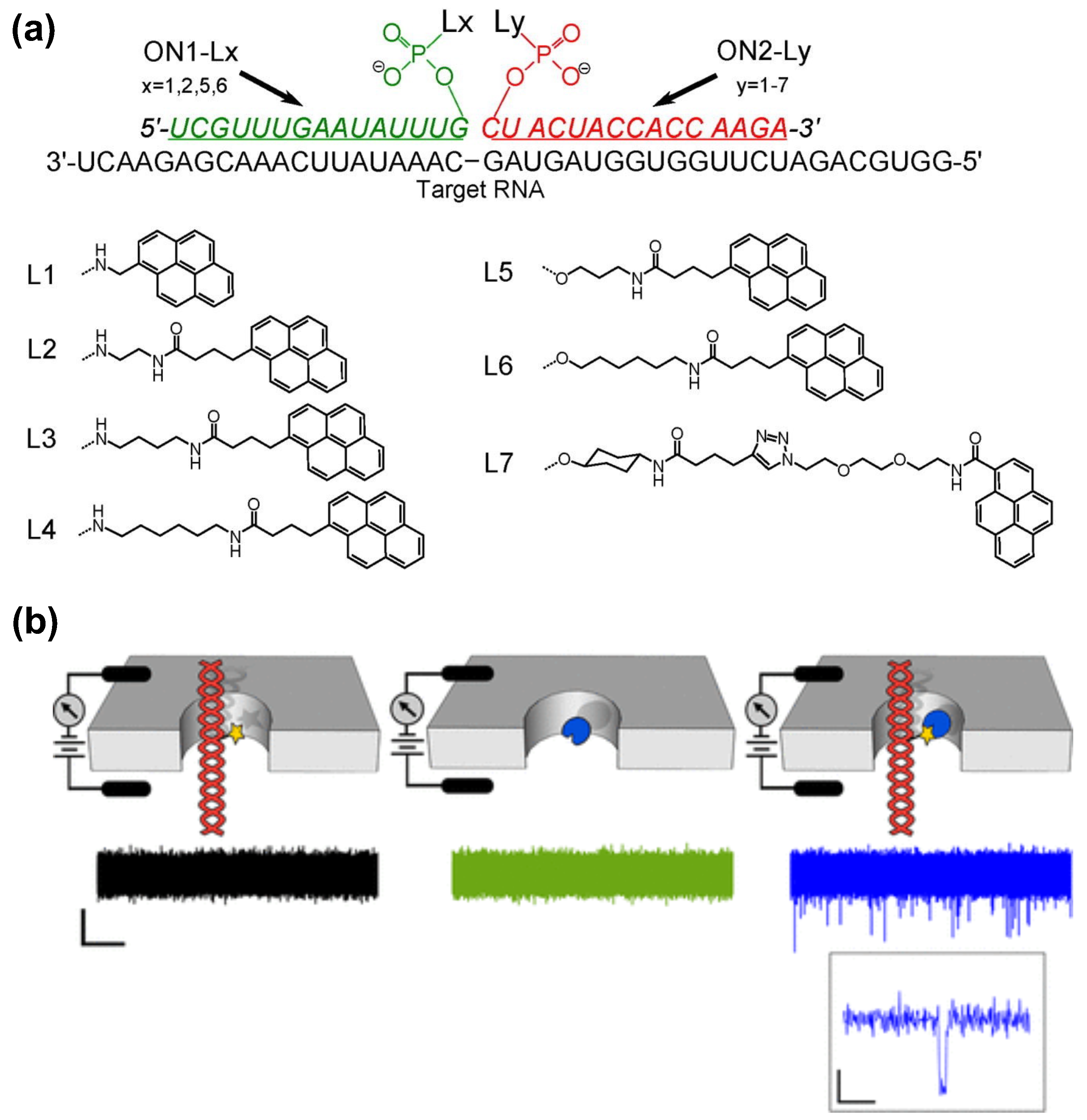 Chemengineering 08 00066 g011