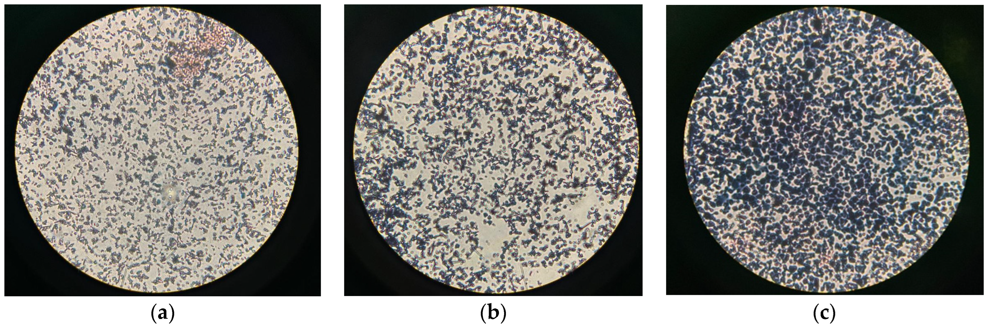 Chemengineering 08 00073 g003