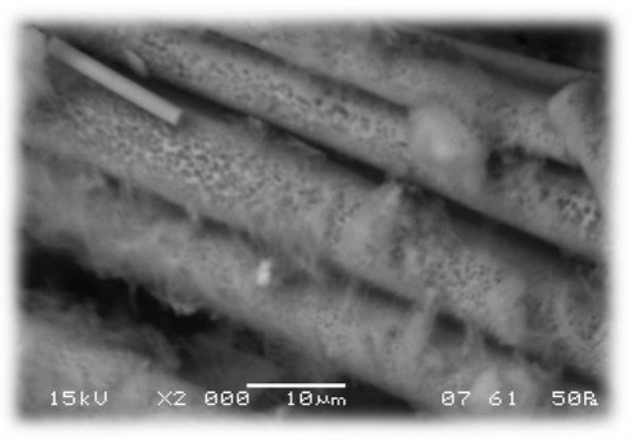 Chemengineering 08 00093 g012