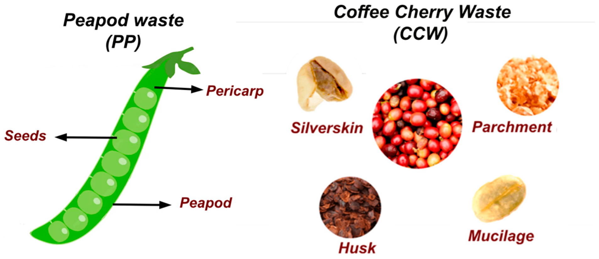 Chemengineering 08 00098 g002