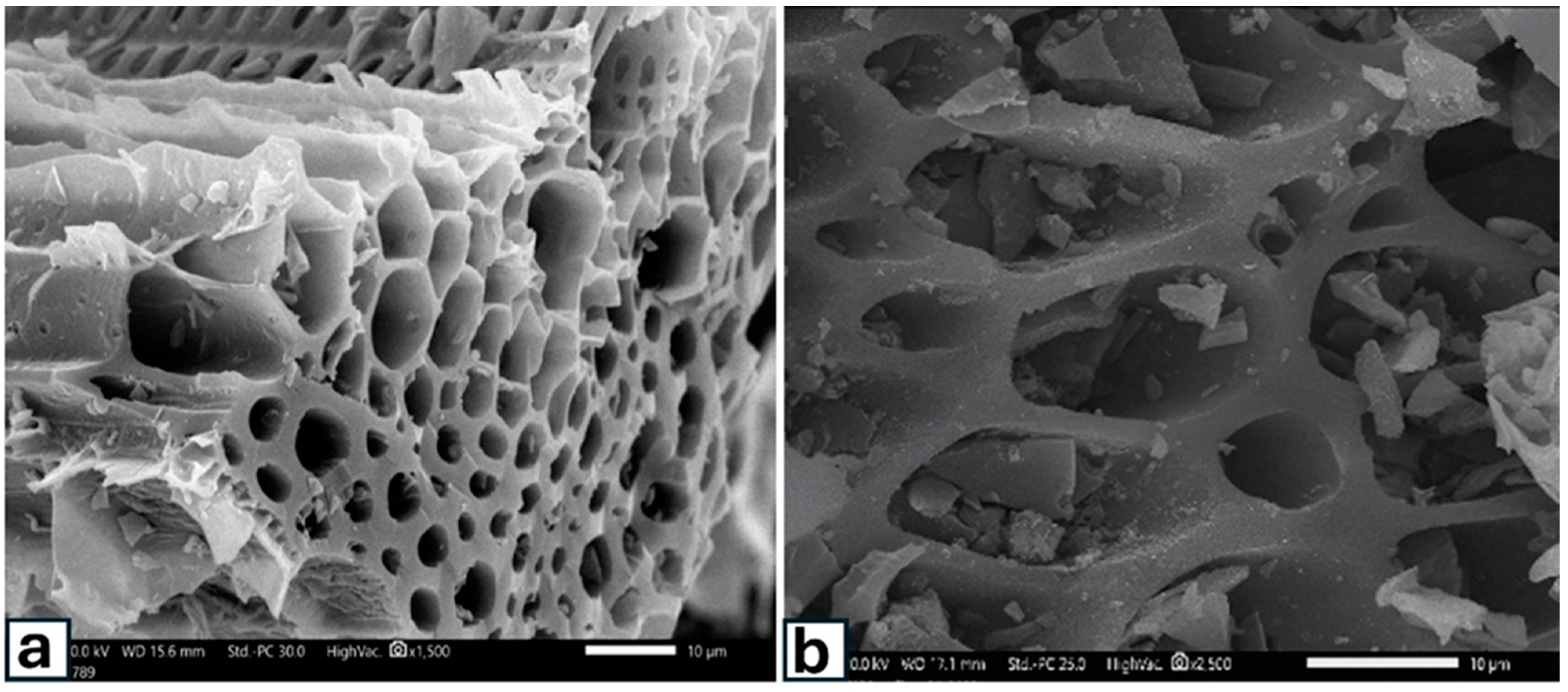 Chemengineering 08 00105 g004
