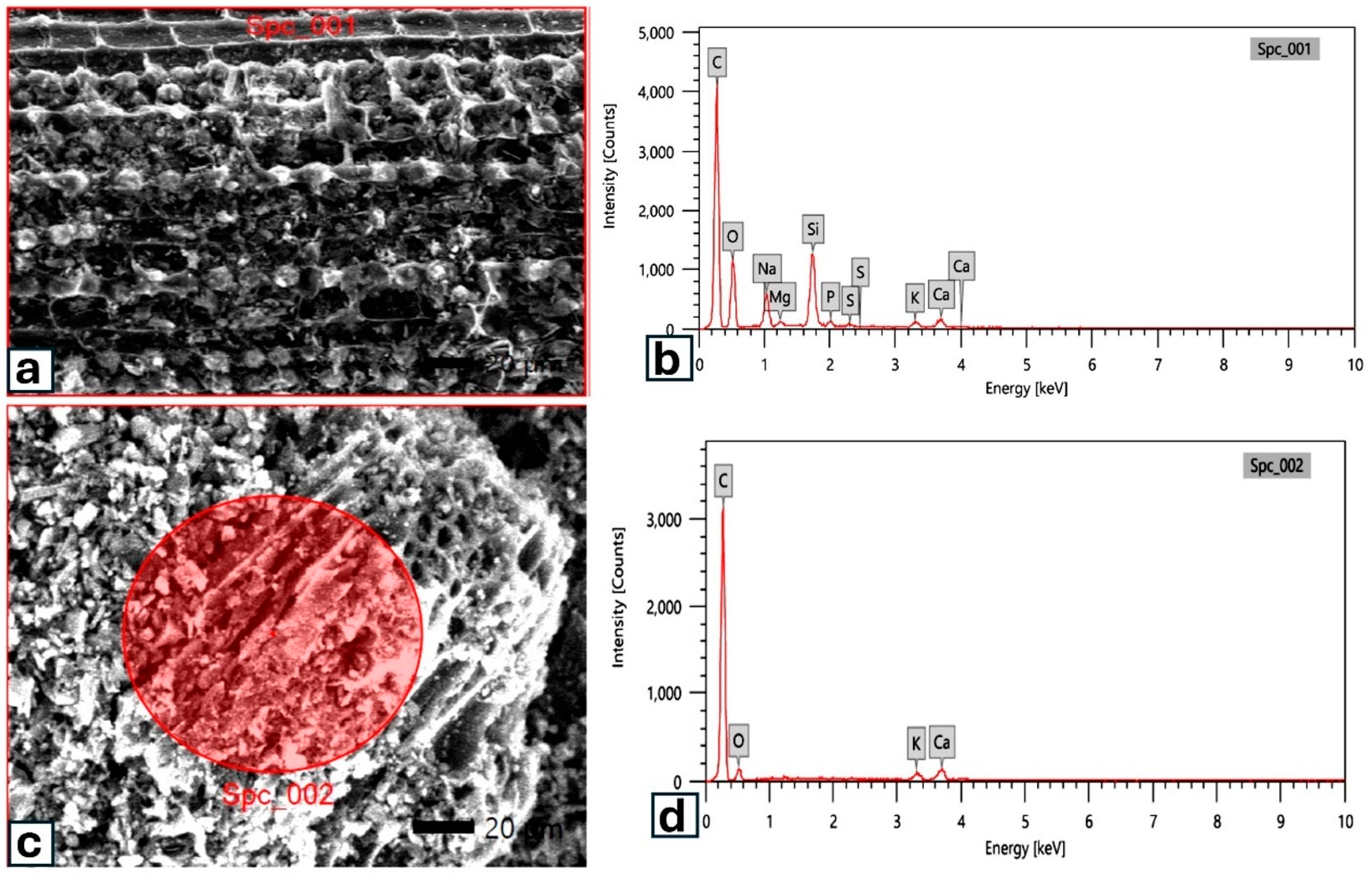Chemengineering 08 00105 g005