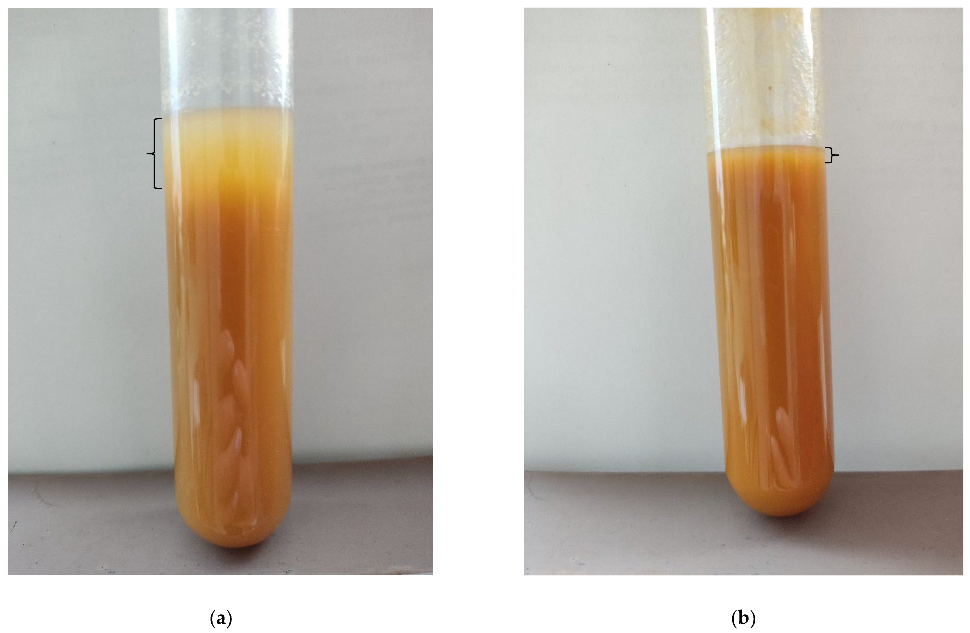 Chemengineering 08 00119 g007