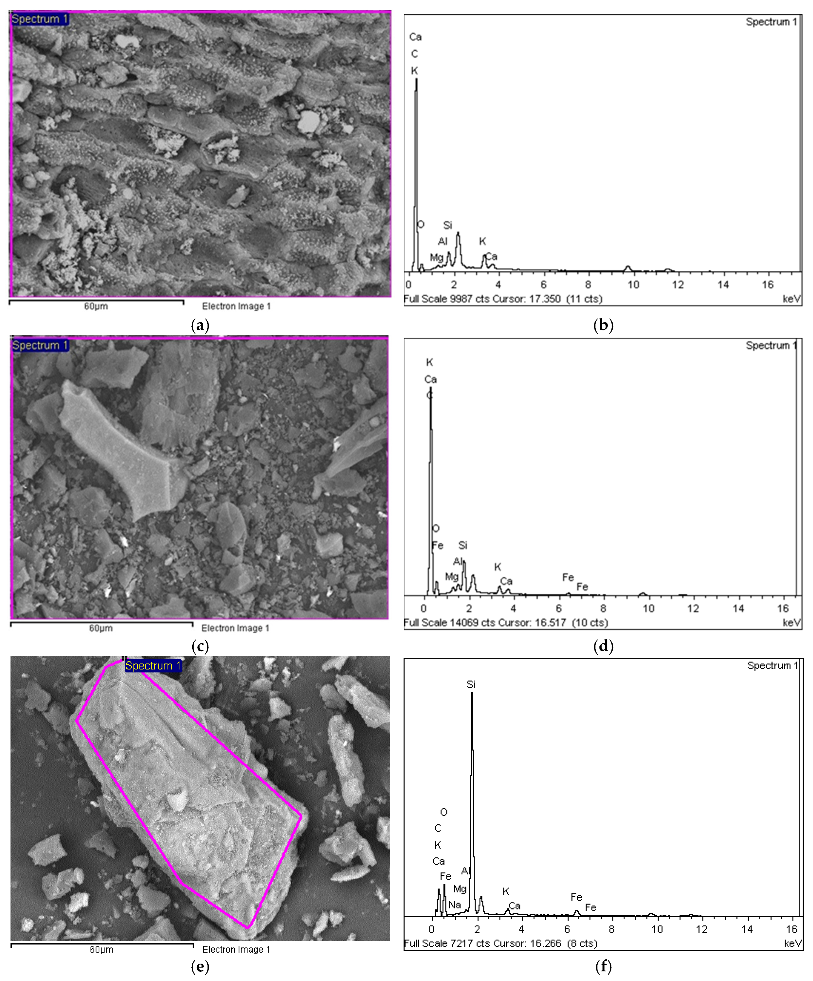 Chemengineering 08 00122 g012