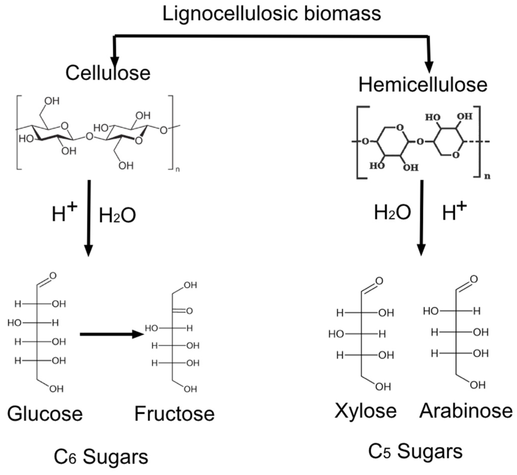 Chemengineering 09 00019 g007