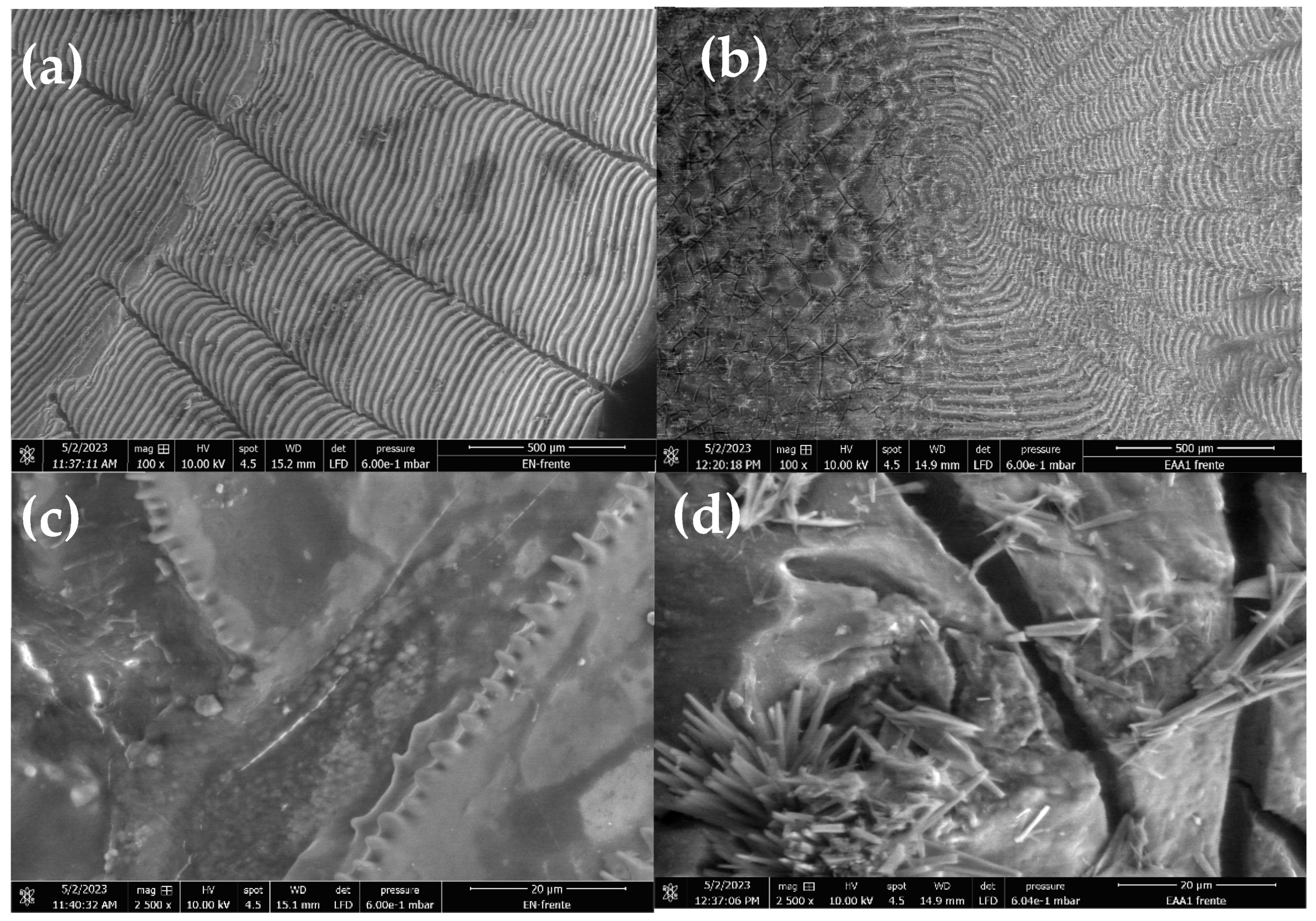 Chemengineering 09 00023 g002