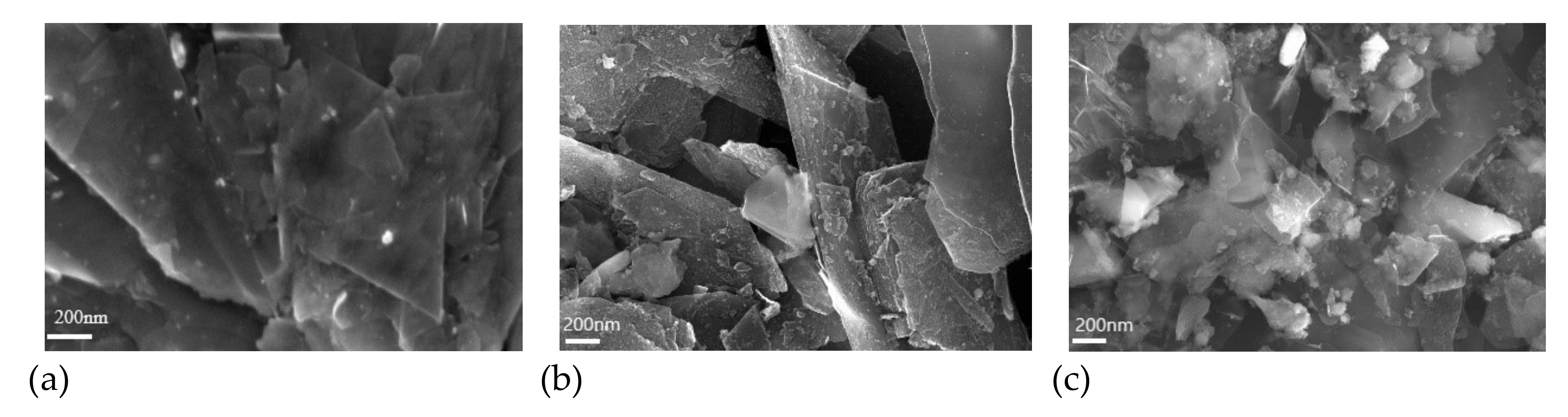 Chemengineering 09 00027 g002