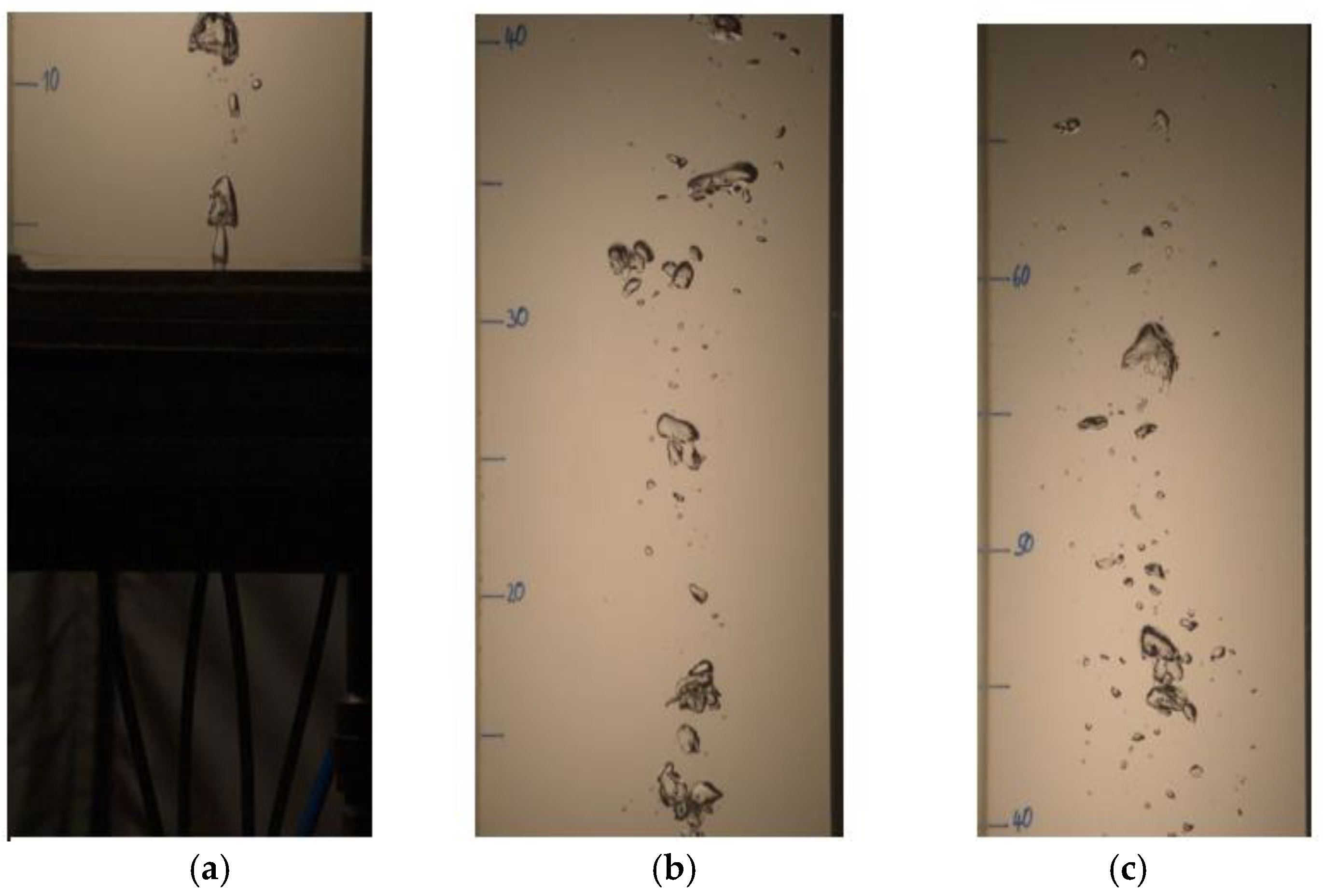 Chemengineering 09 00029 g003
