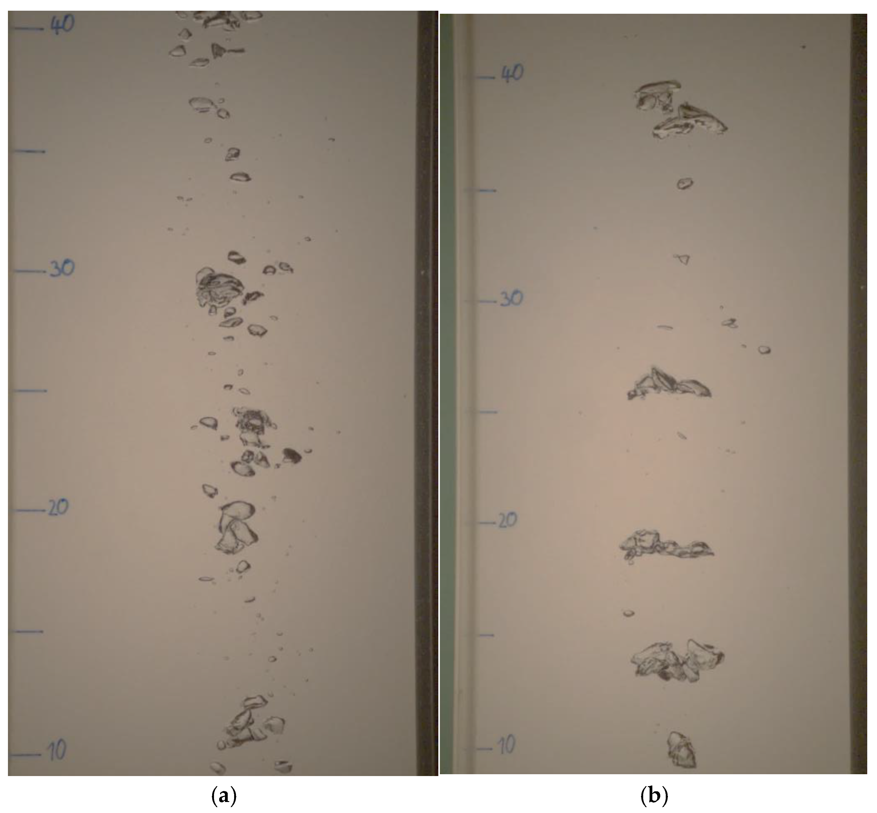 Chemengineering 09 00029 g008