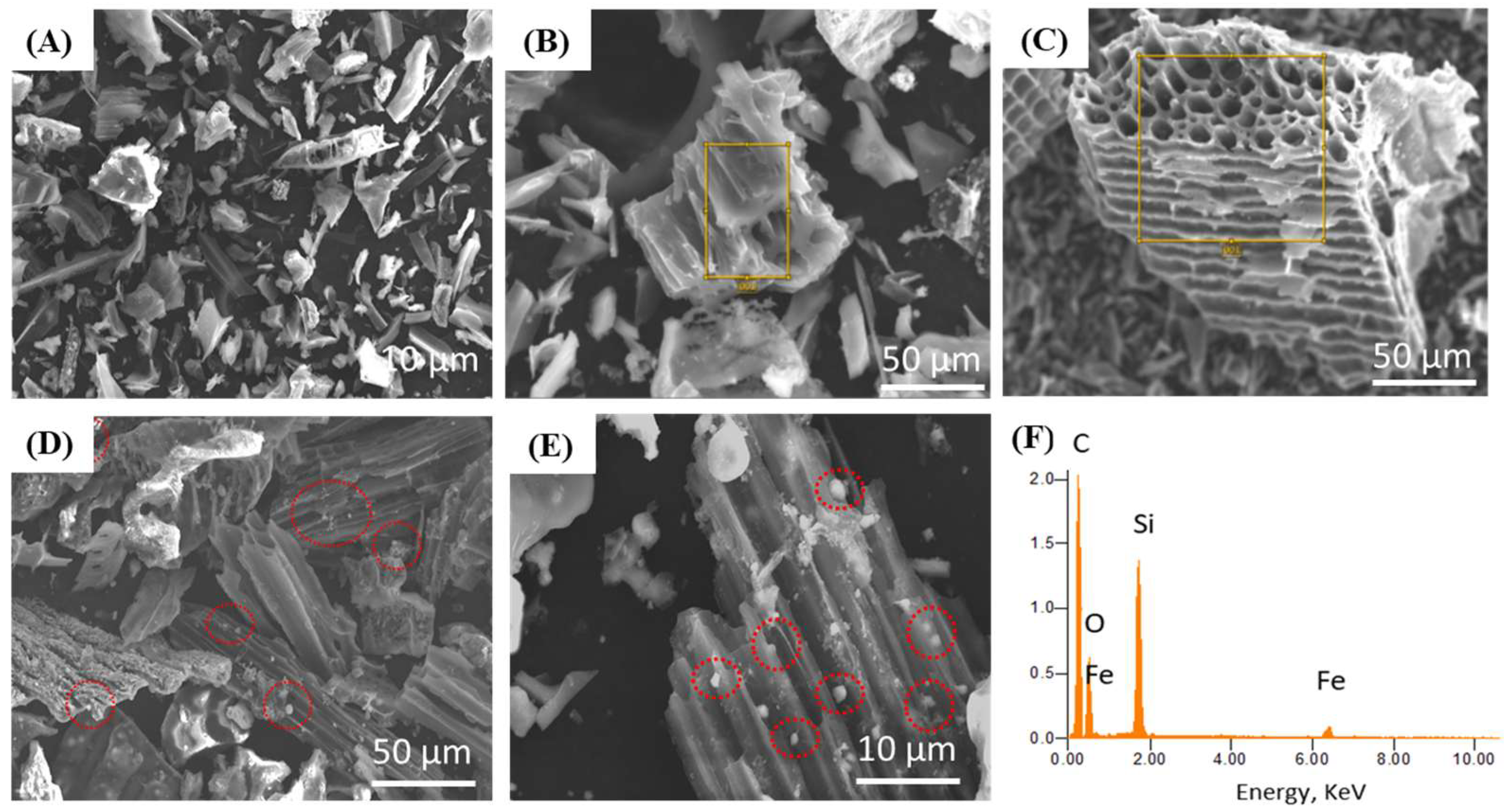 Chemengineering 09 00030 g003