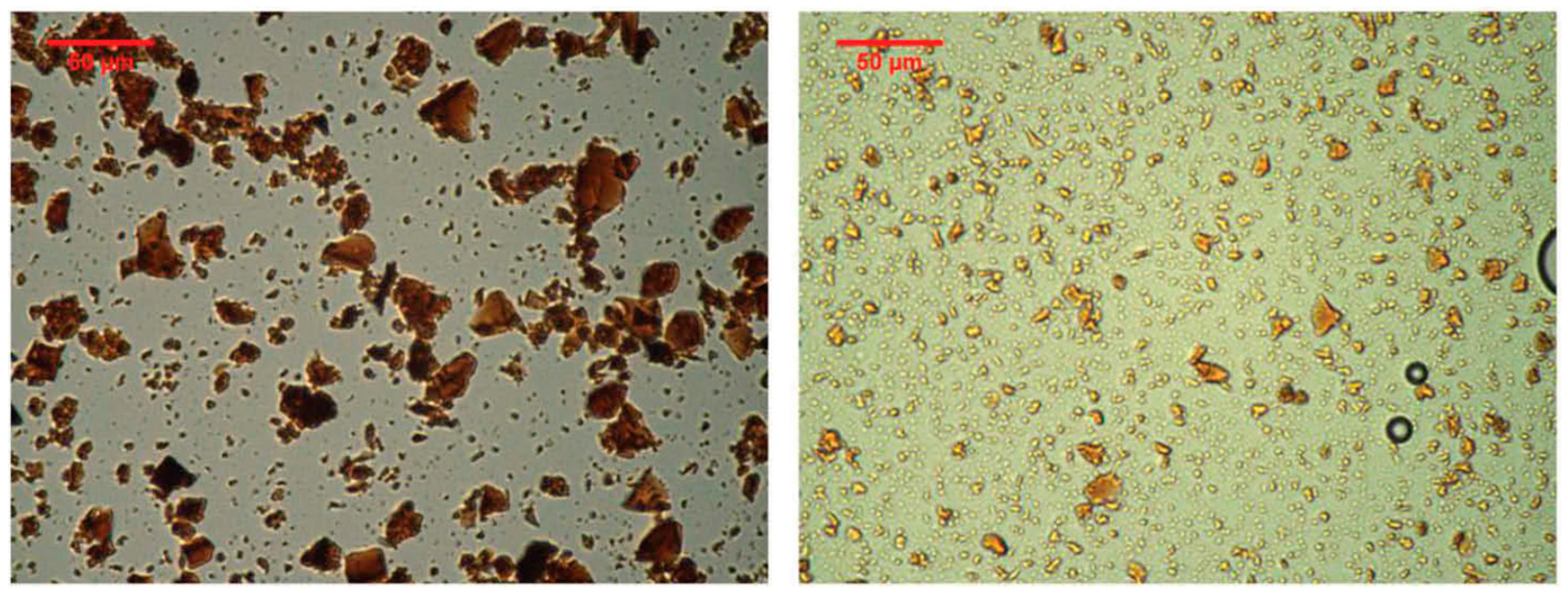 Chemengineering 09 00036 g003