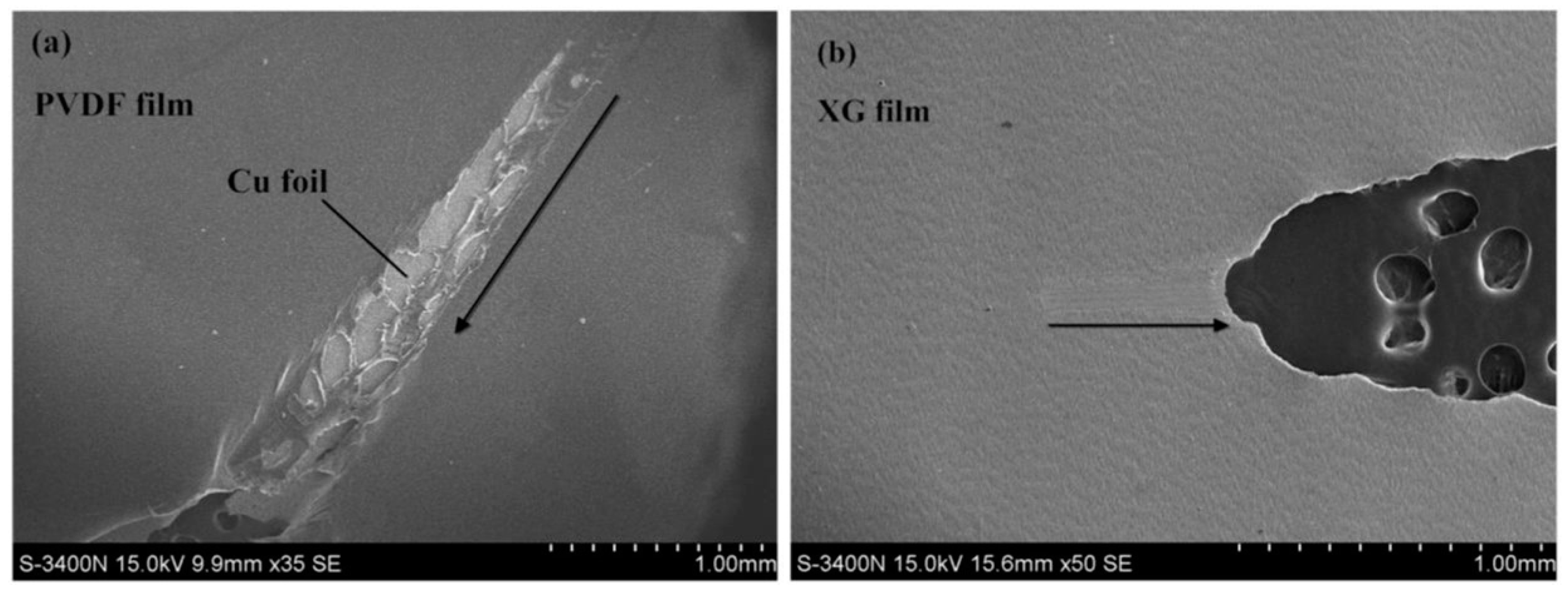 Chemengineering 09 00036 g005