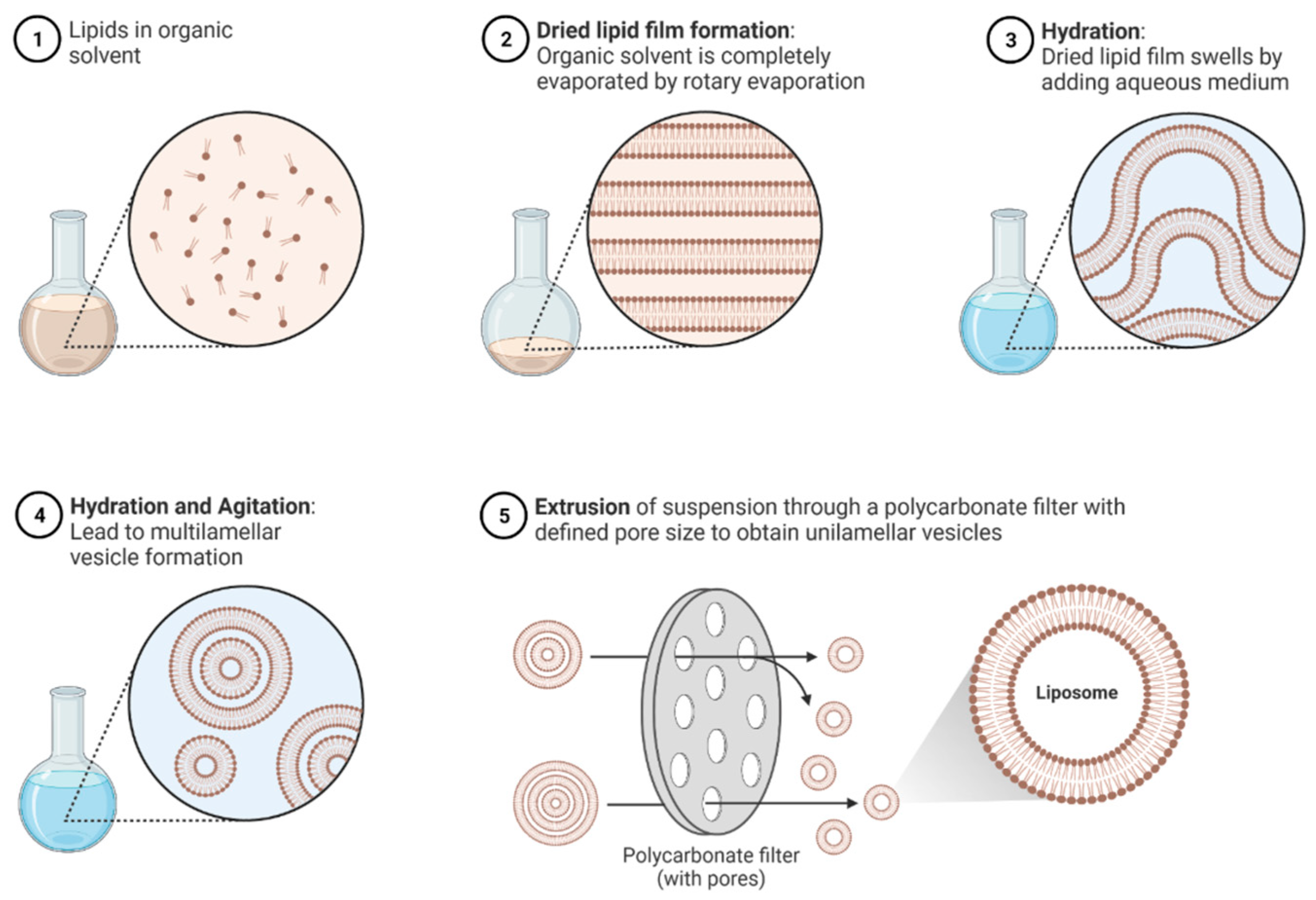 Chemengineering 09 00056 g003