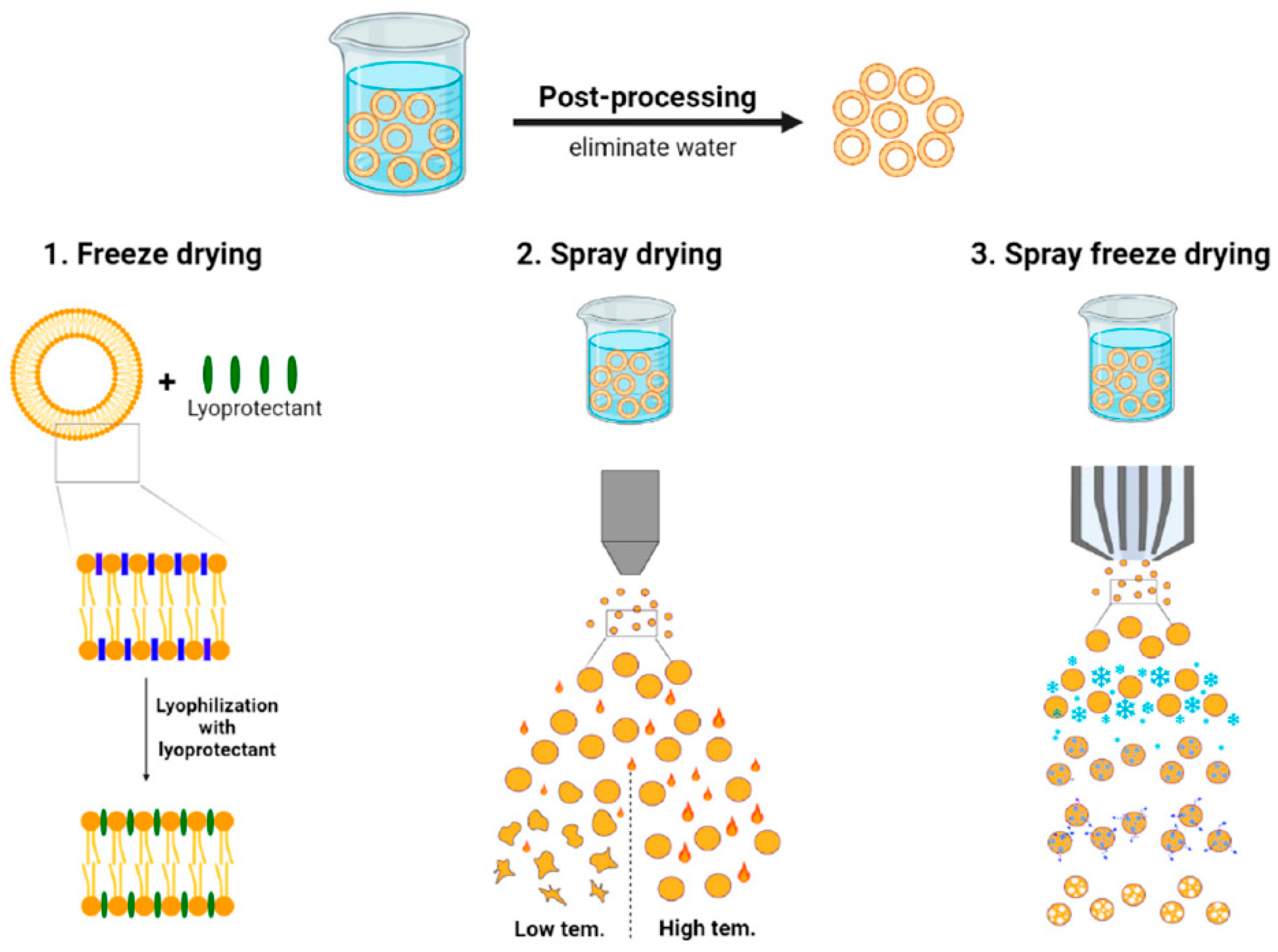 Chemengineering 09 00056 g004