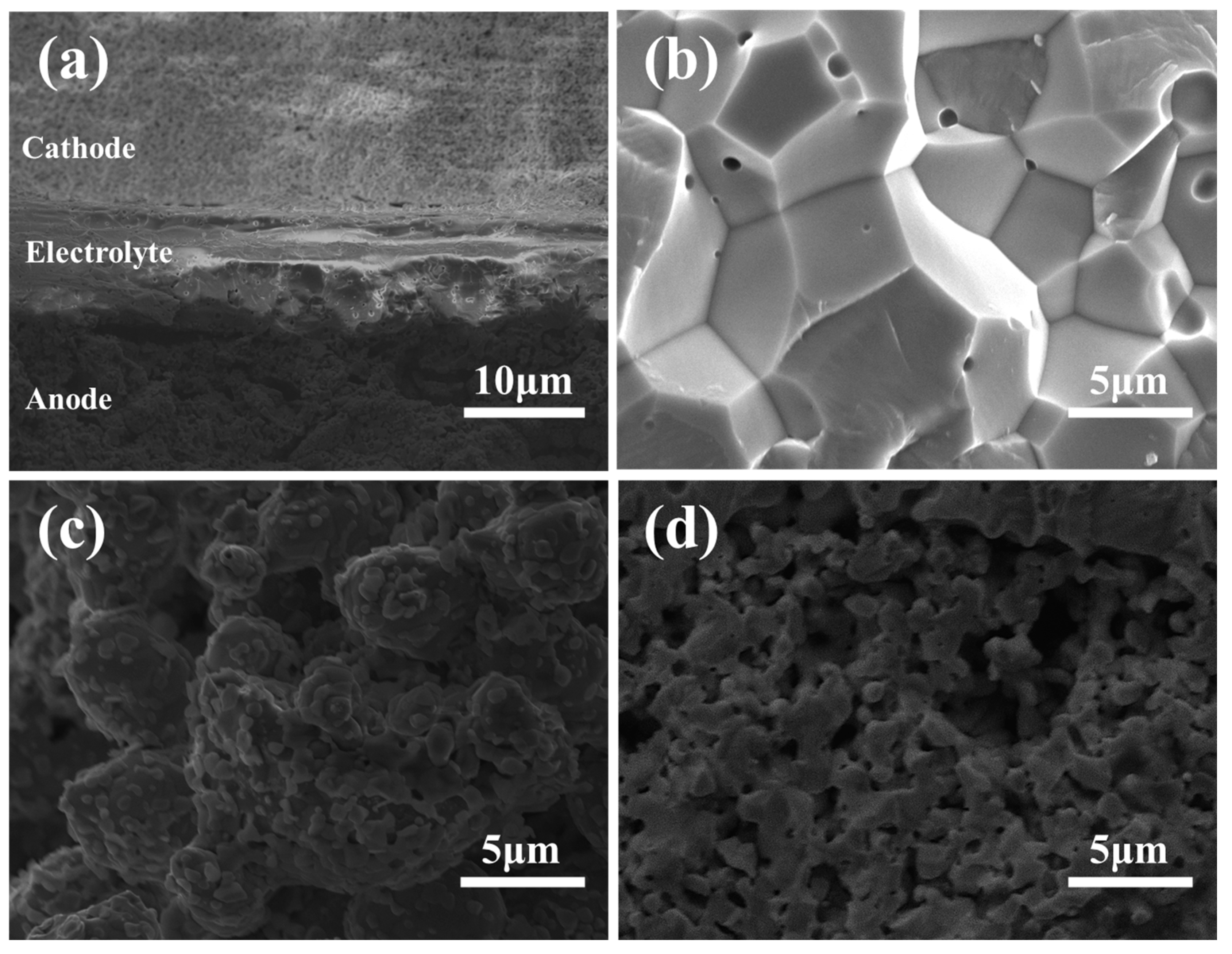 Chemengineering 09 00066 g006