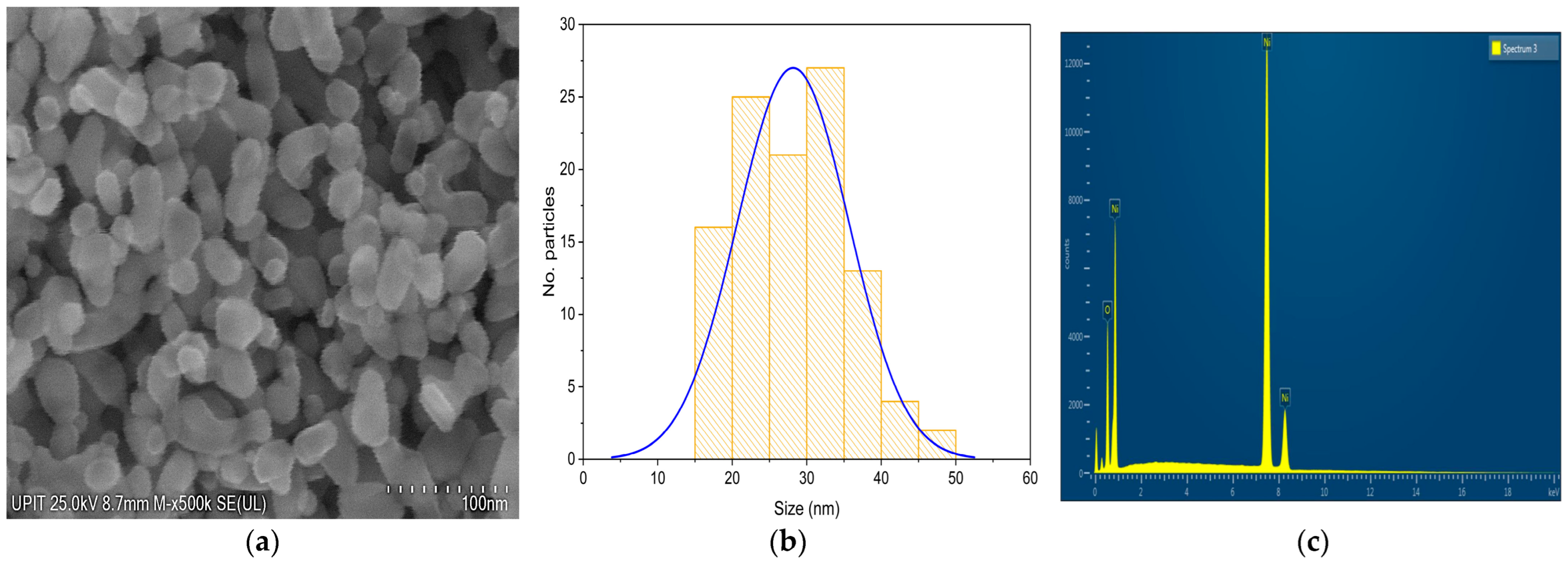 Chemengineering 09 00077 g007
