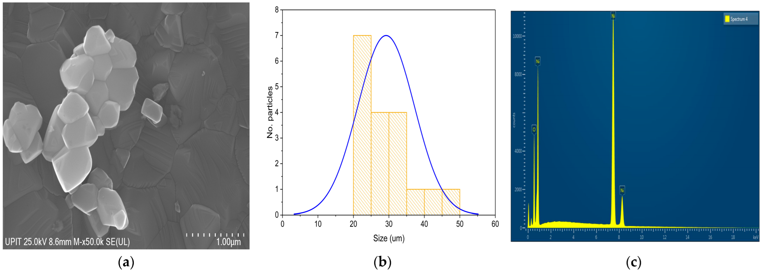 Chemengineering 09 00077 g008