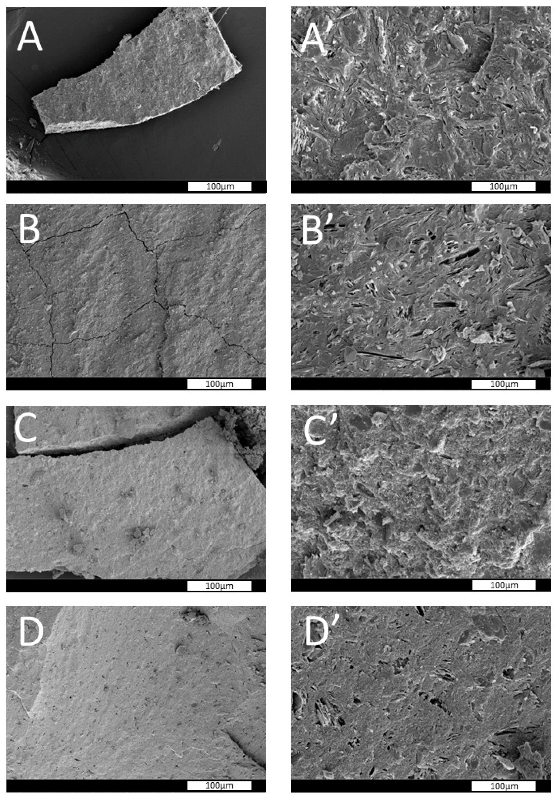 Chemengineering 09 00079 g002