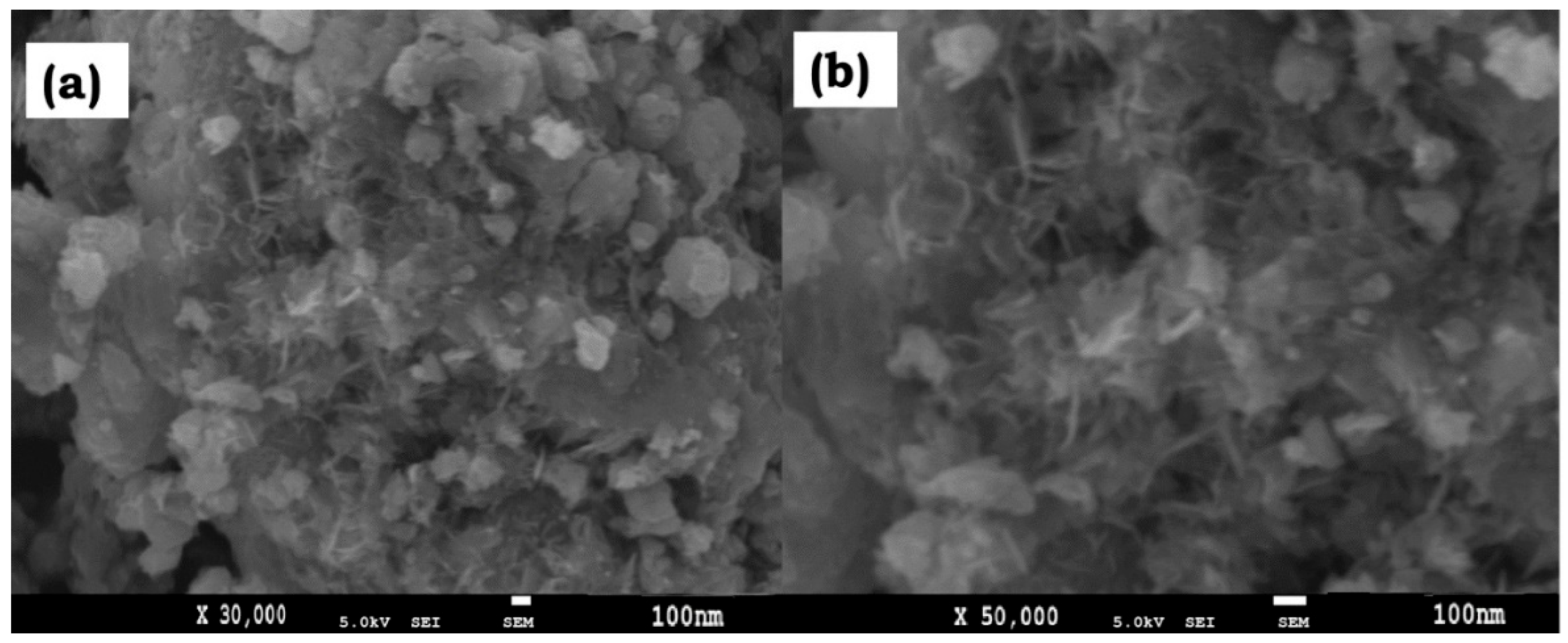 Chemengineering 09 00081 g004