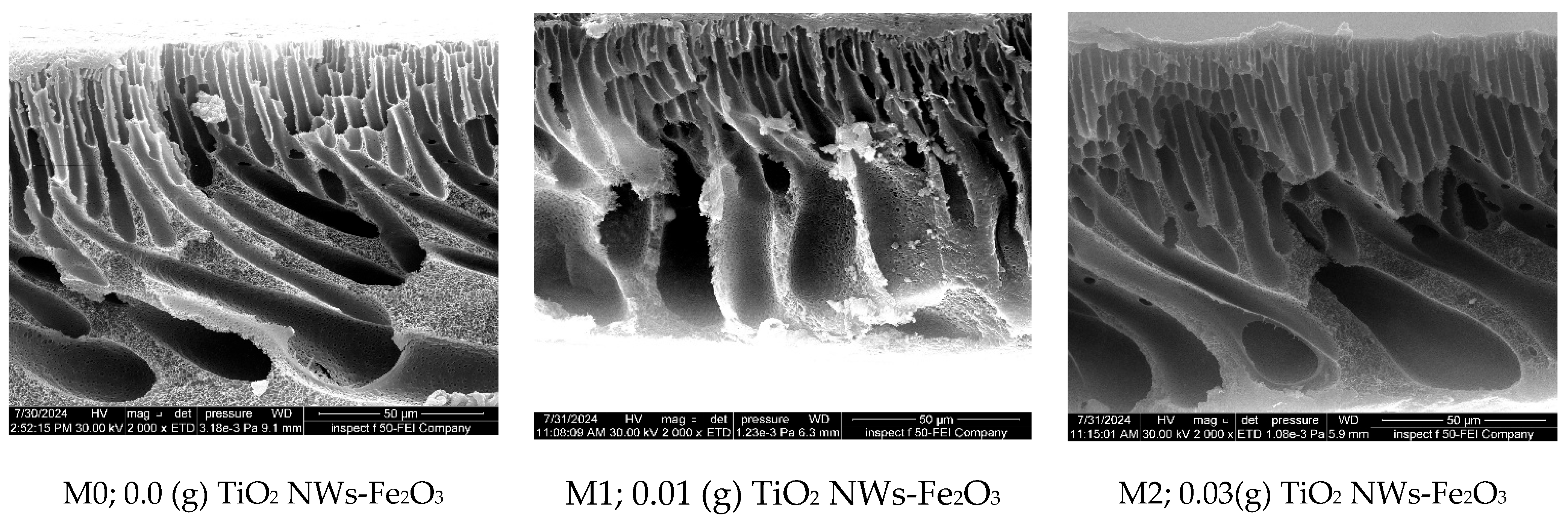 Chemengineering 09 00082 g006a