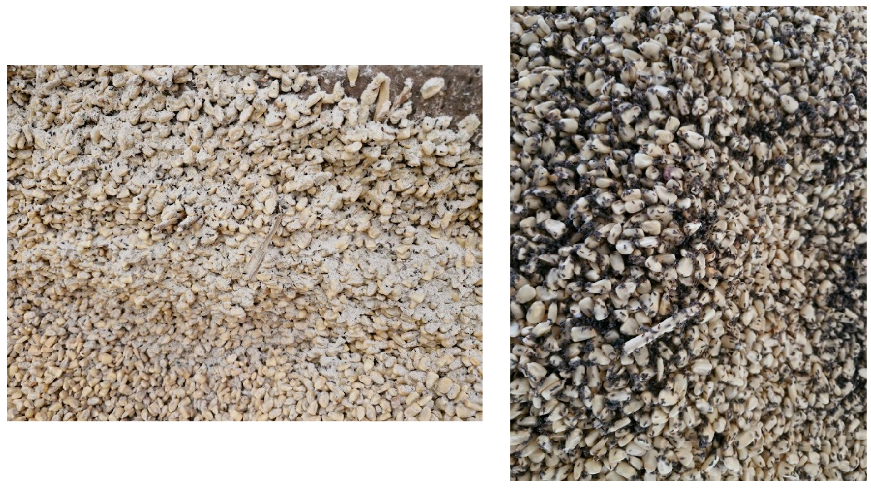 Chemengineering 09 00089 g007