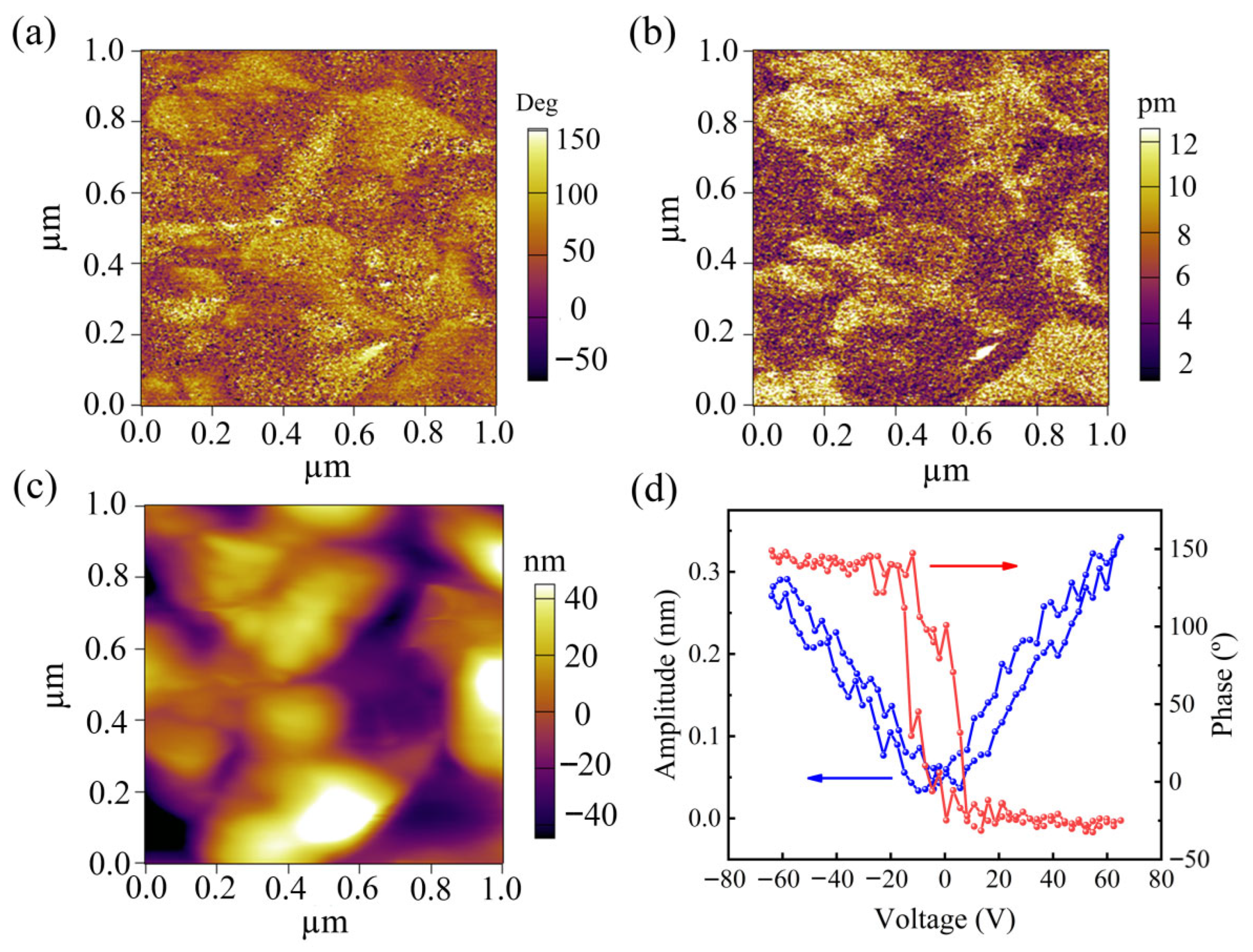 Chemengineering 09 00090 g003